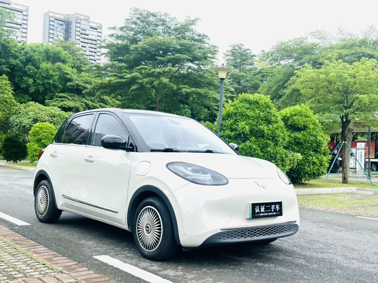 Wuling Bingo