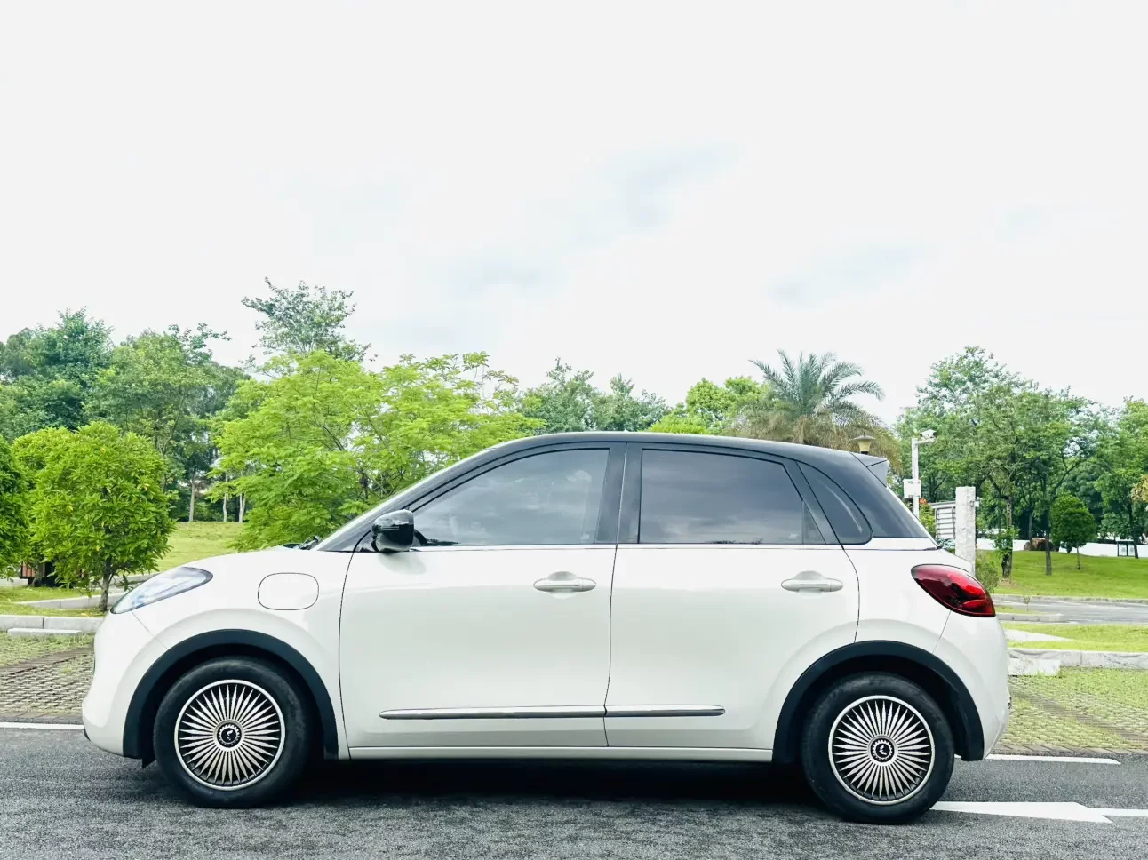 Wuling Bingo