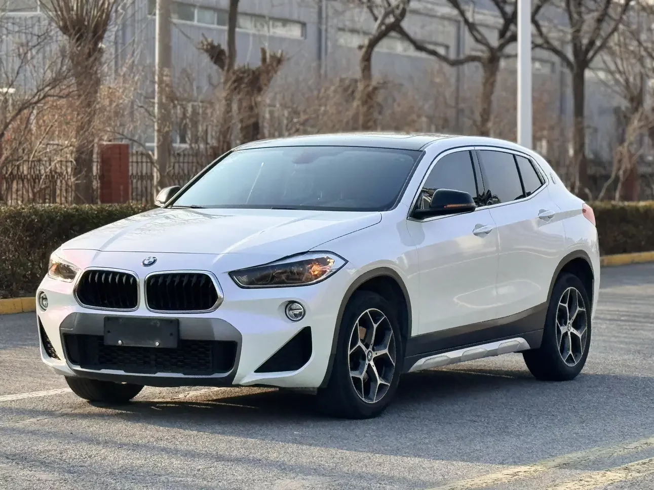 BMW X2