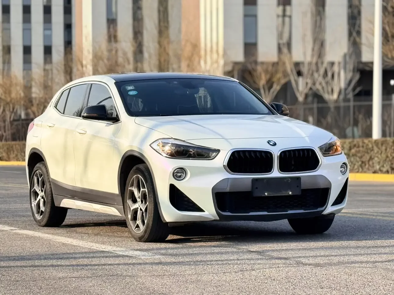 BMW X2