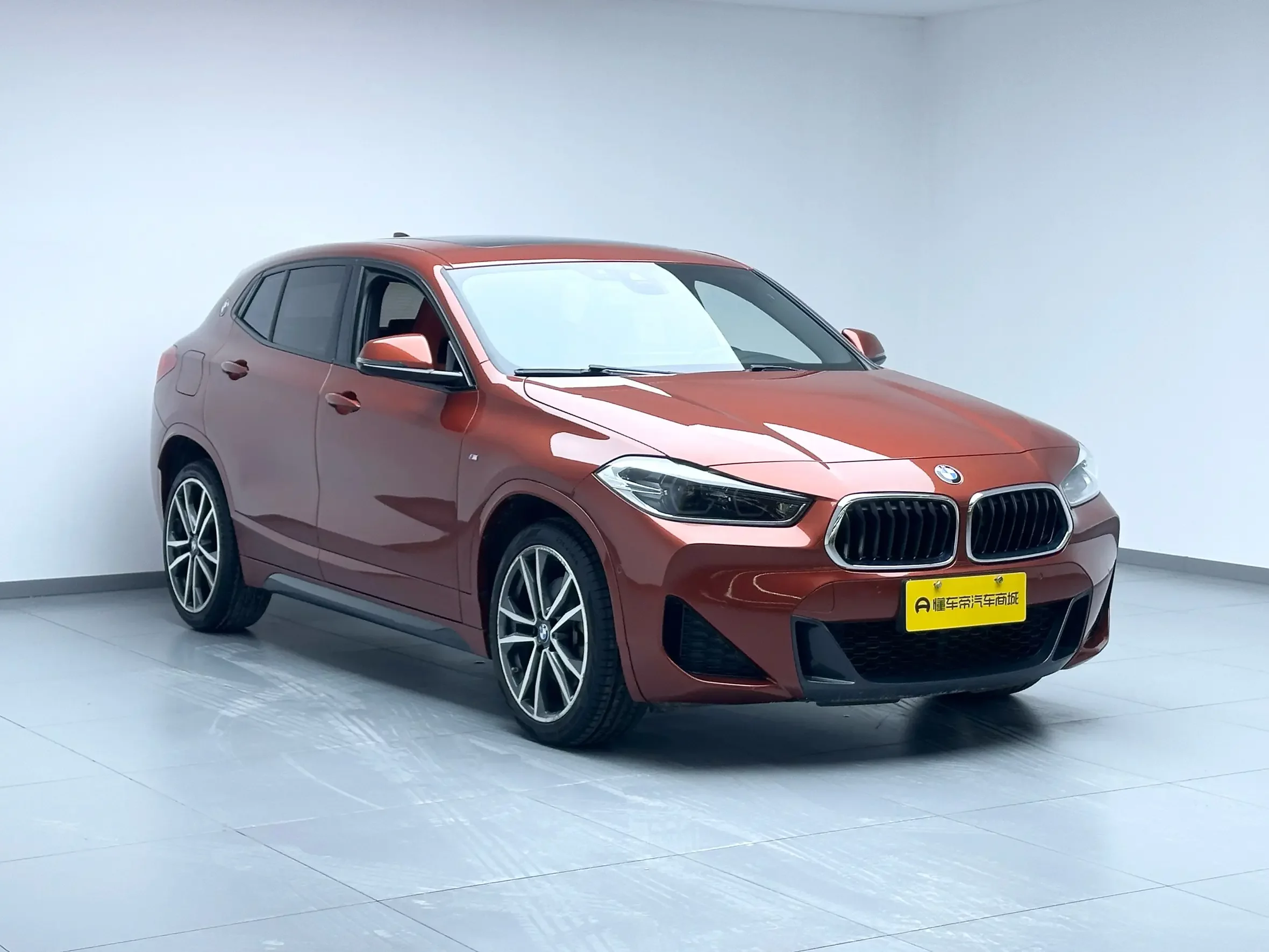 BMW X2