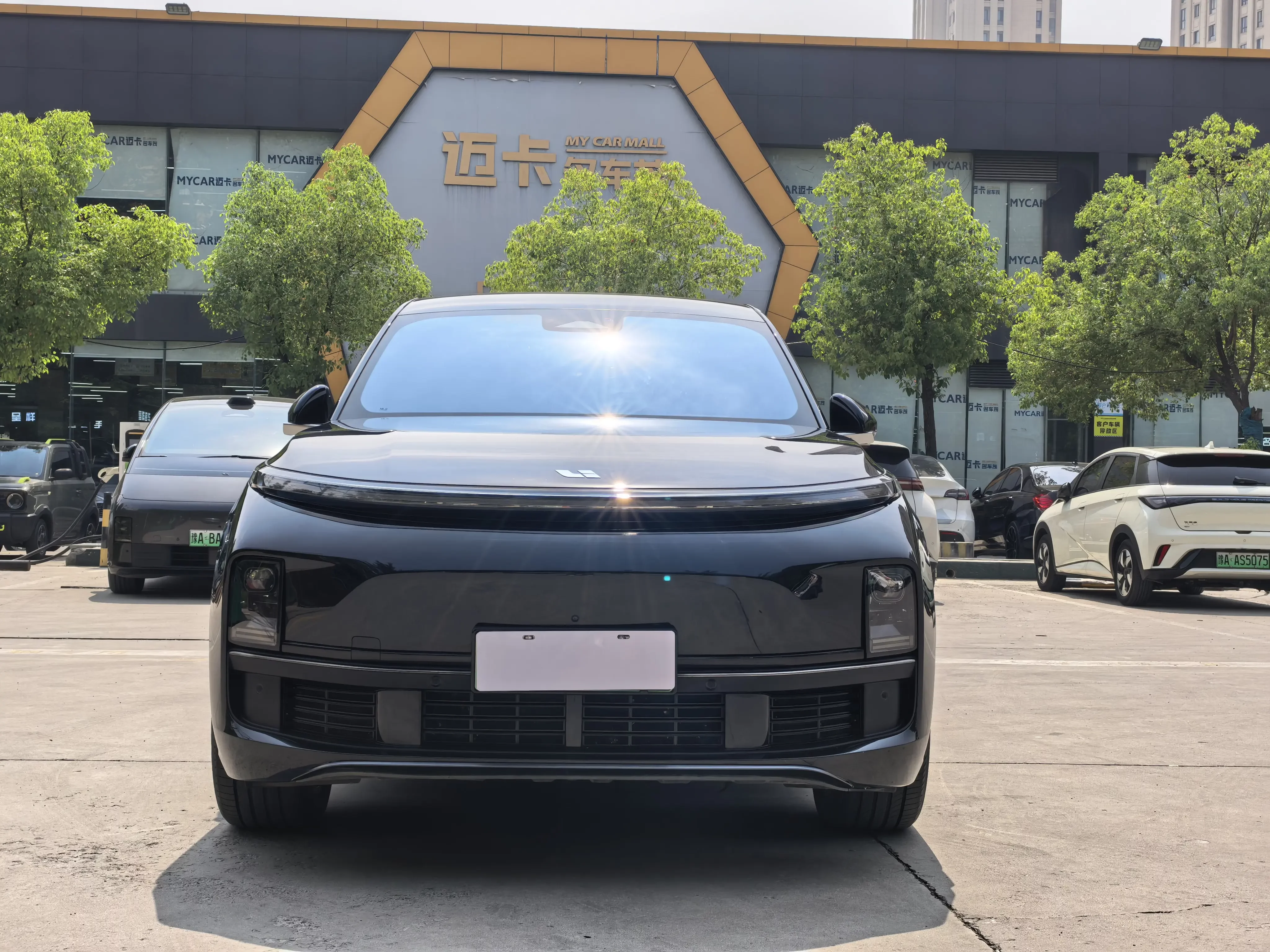 Lixiang L8