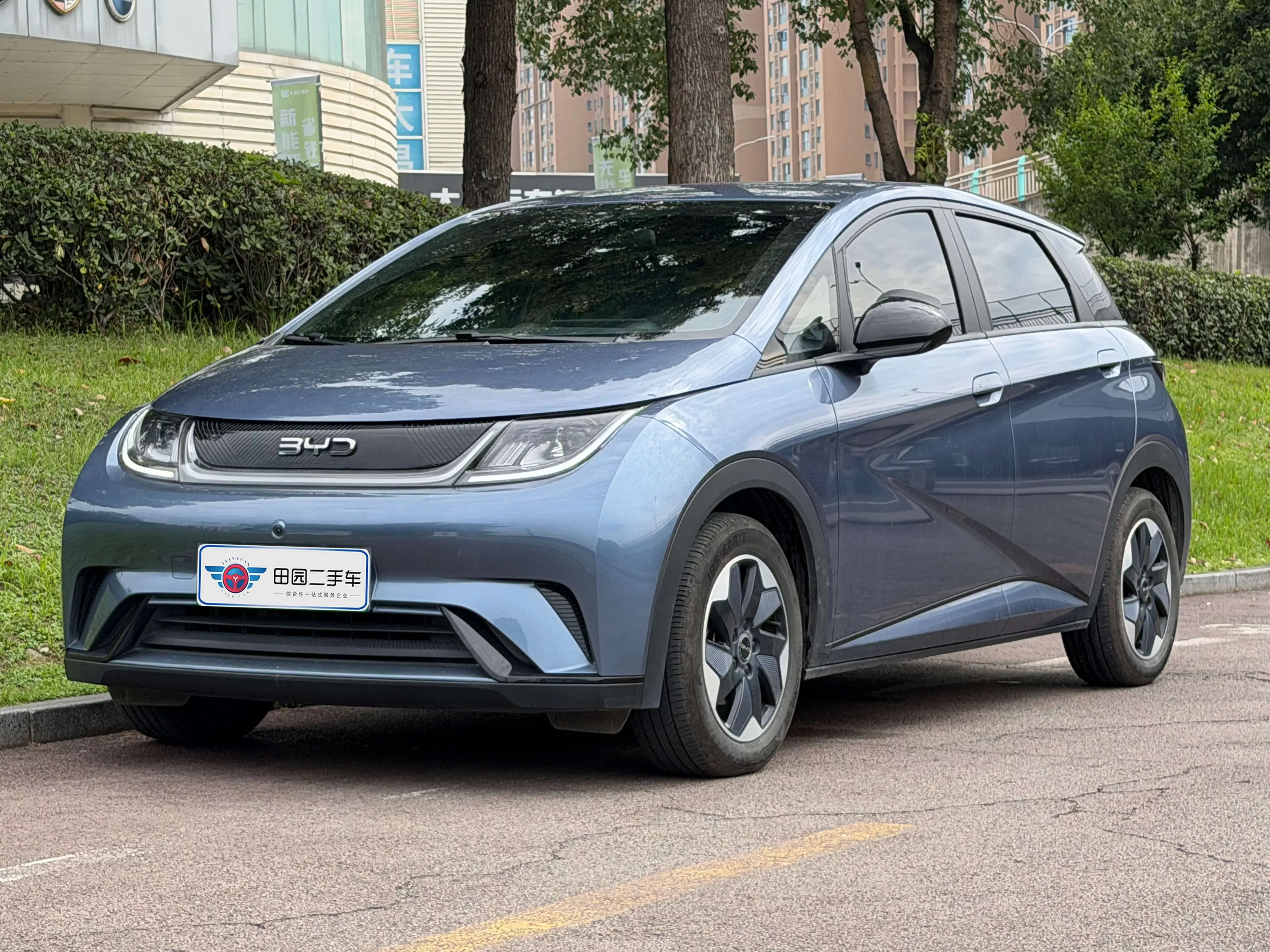 BYD dolphin