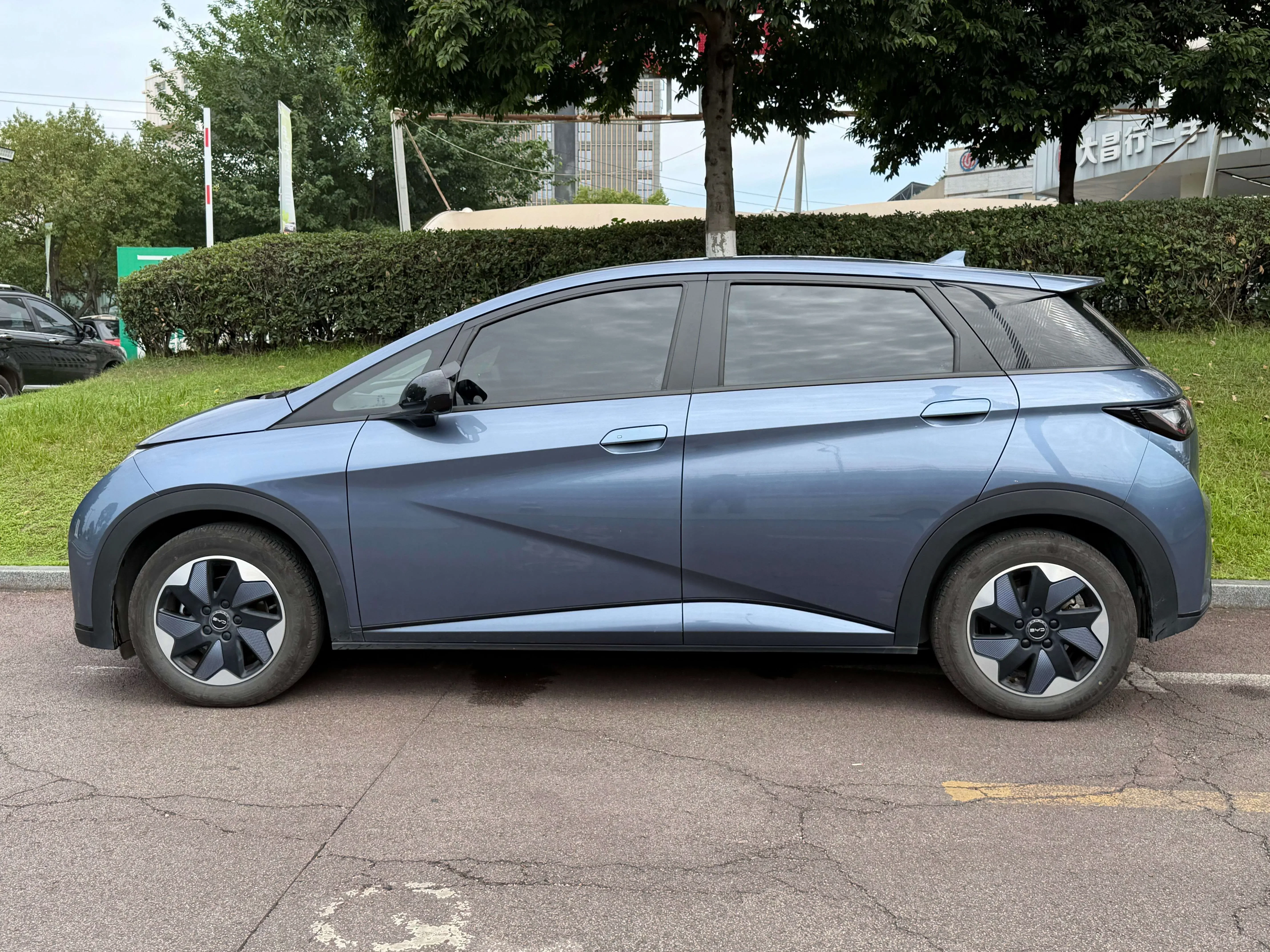 BYD dolphin
