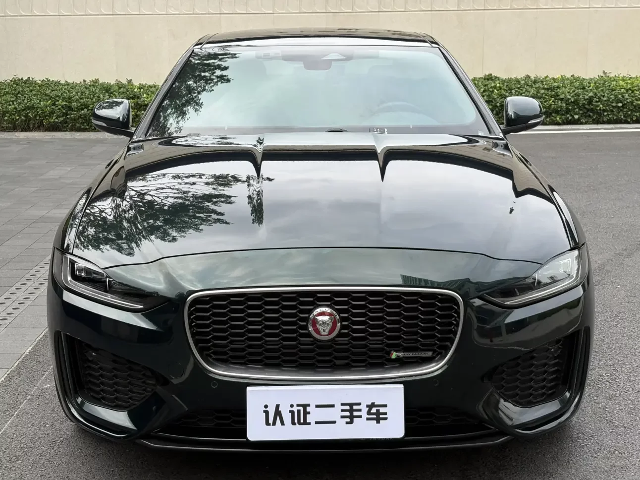 Jaguar XEL