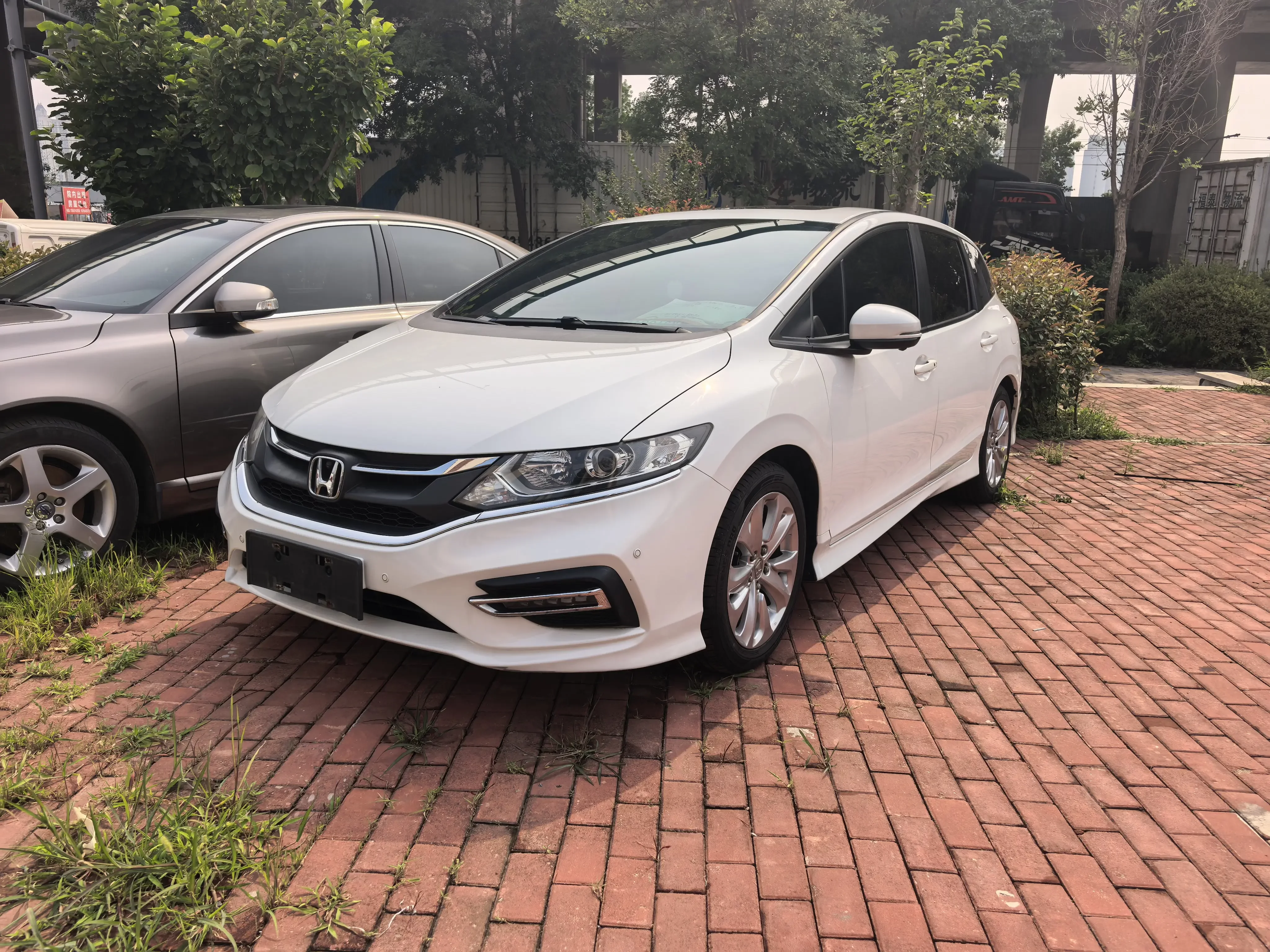 Honda Jed