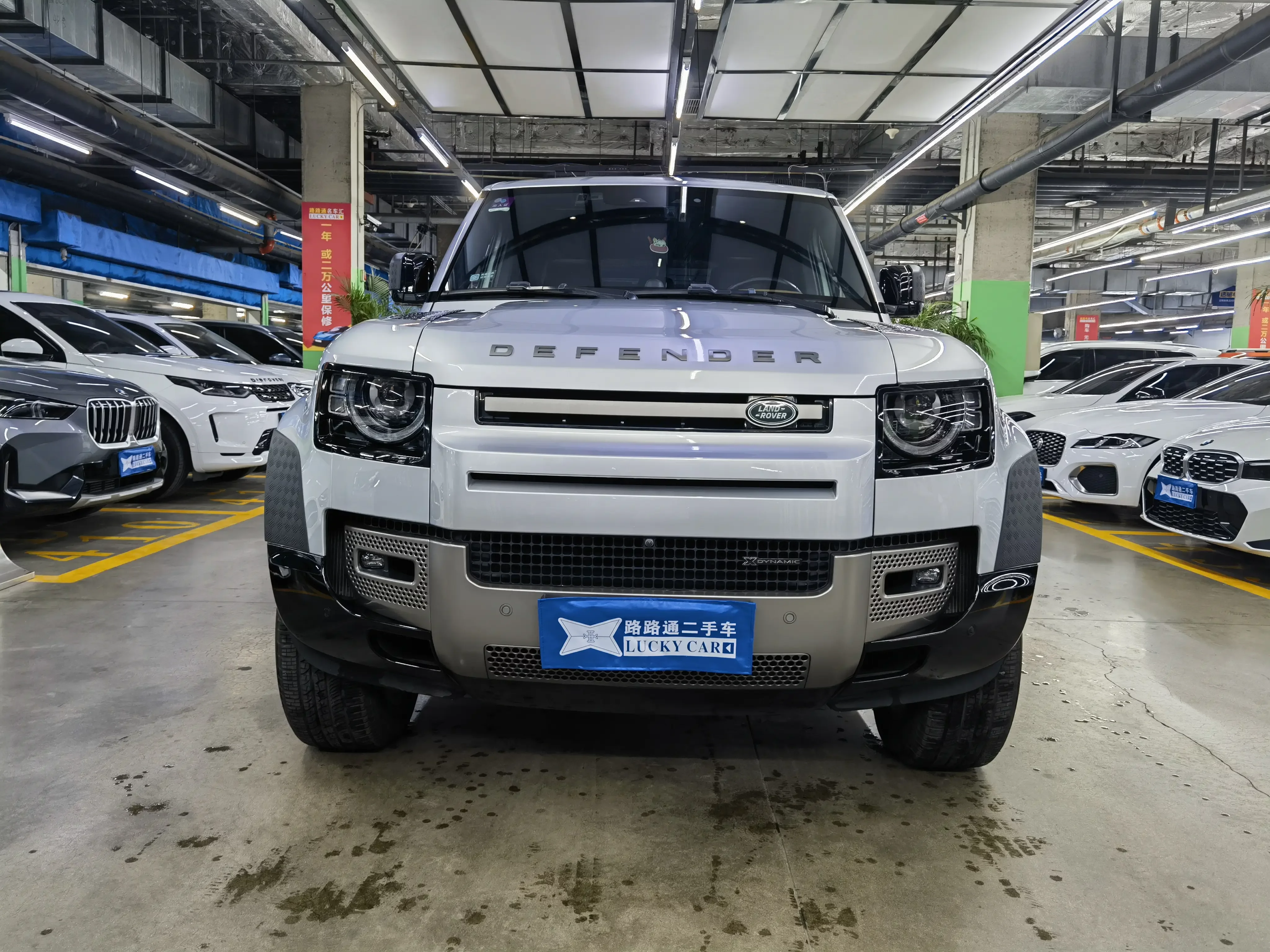 Land Rover guard