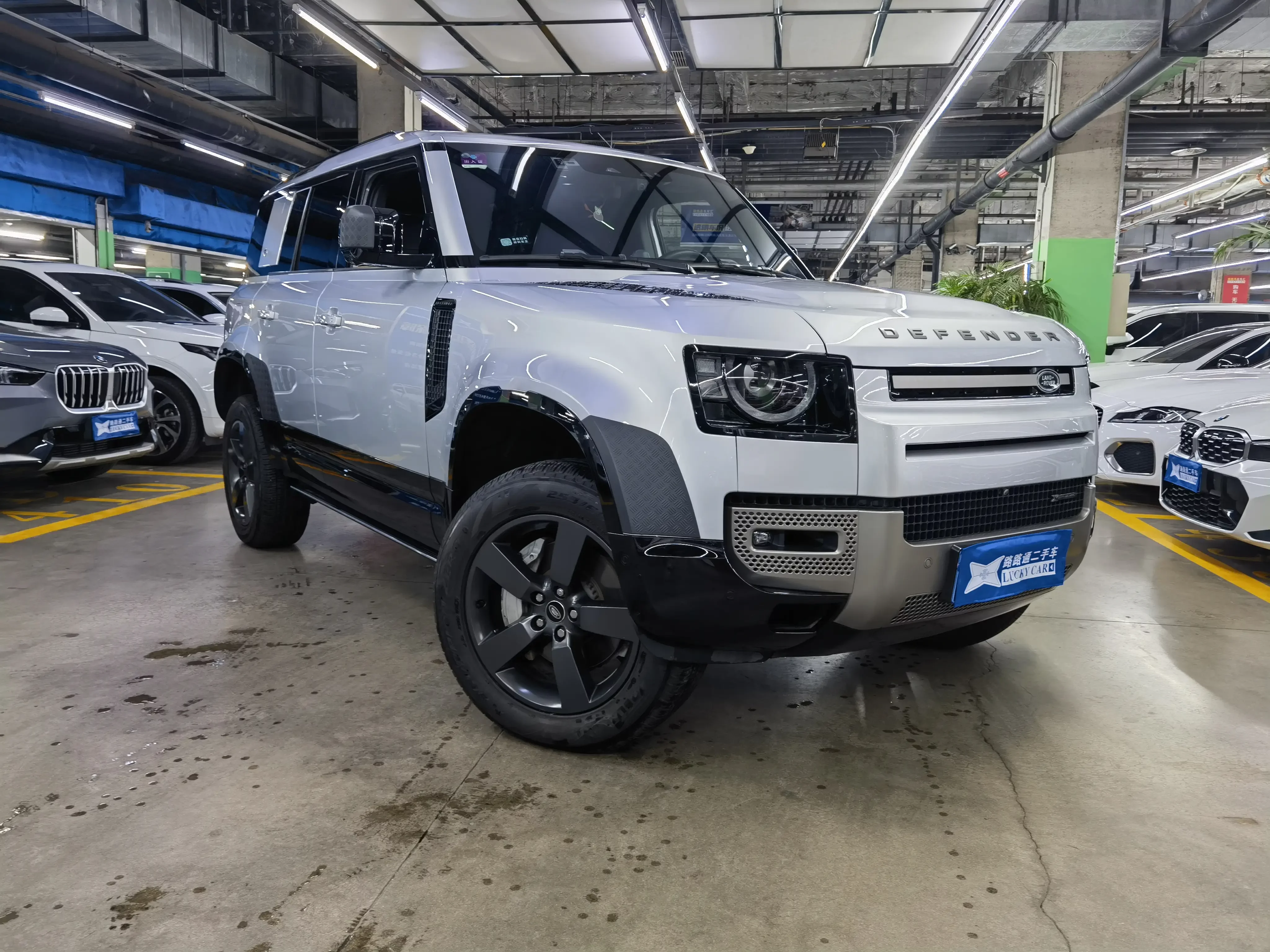 Land Rover guard