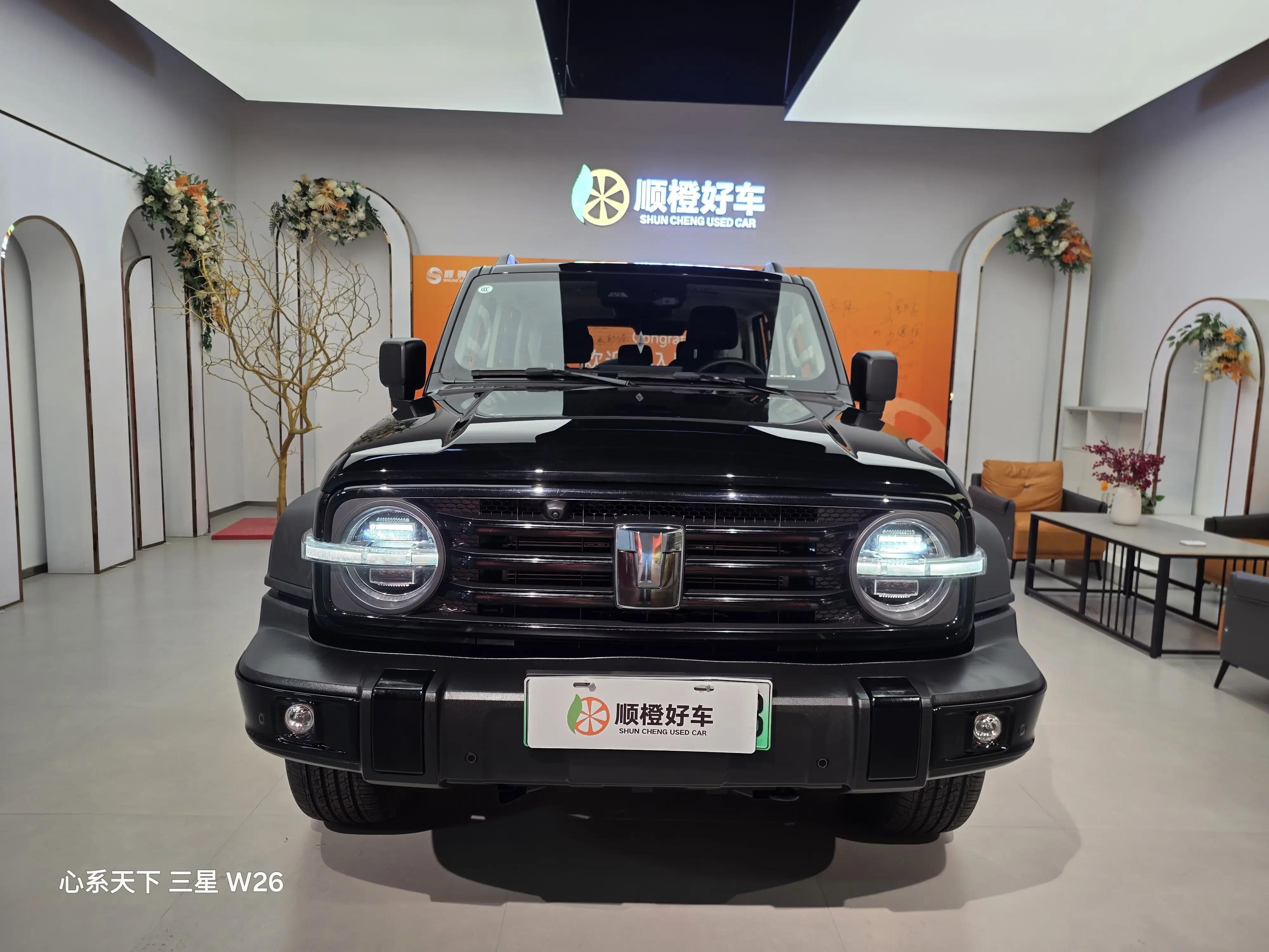 Tank 300 Hi4-T