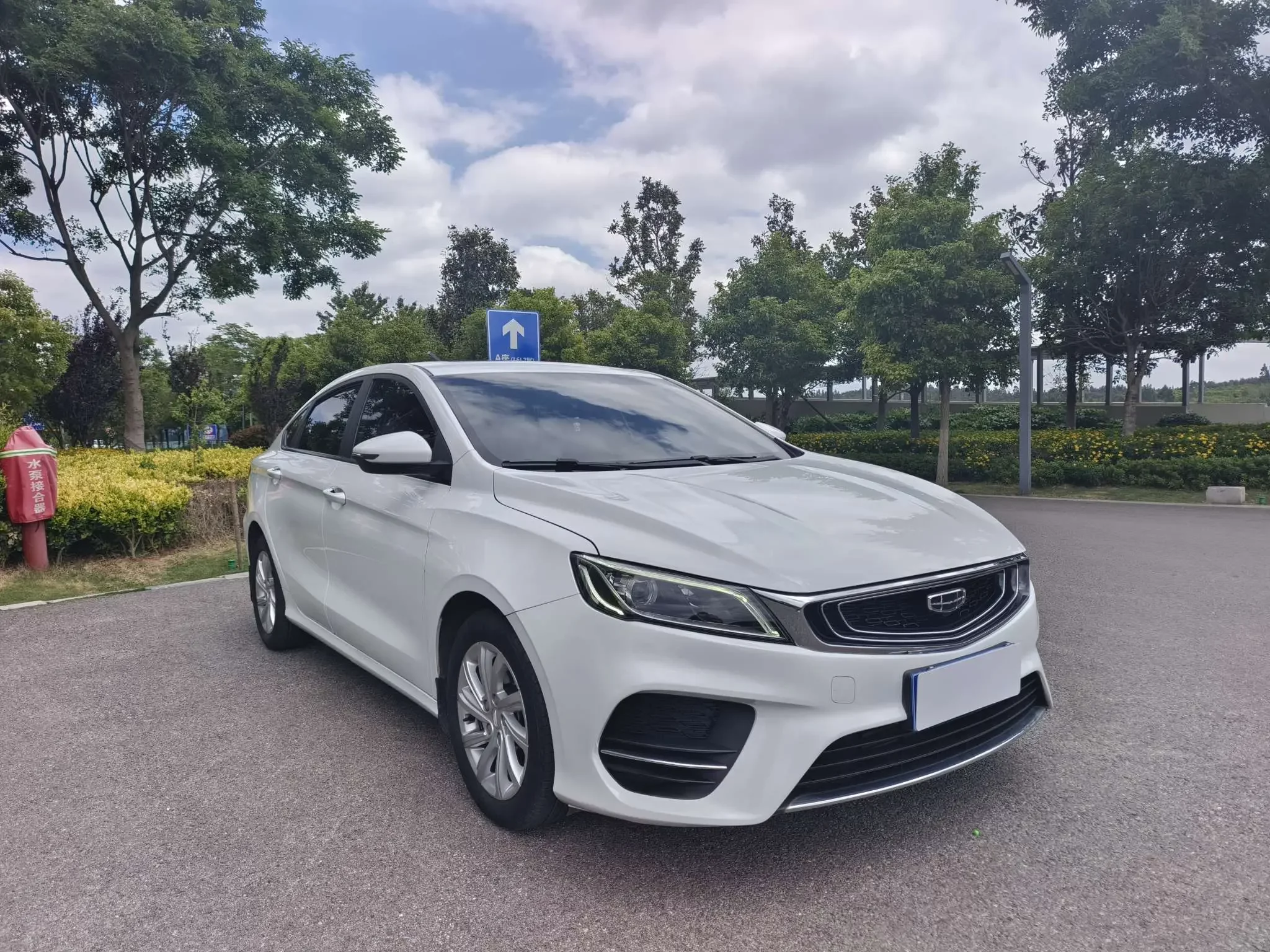 Geely Binrui