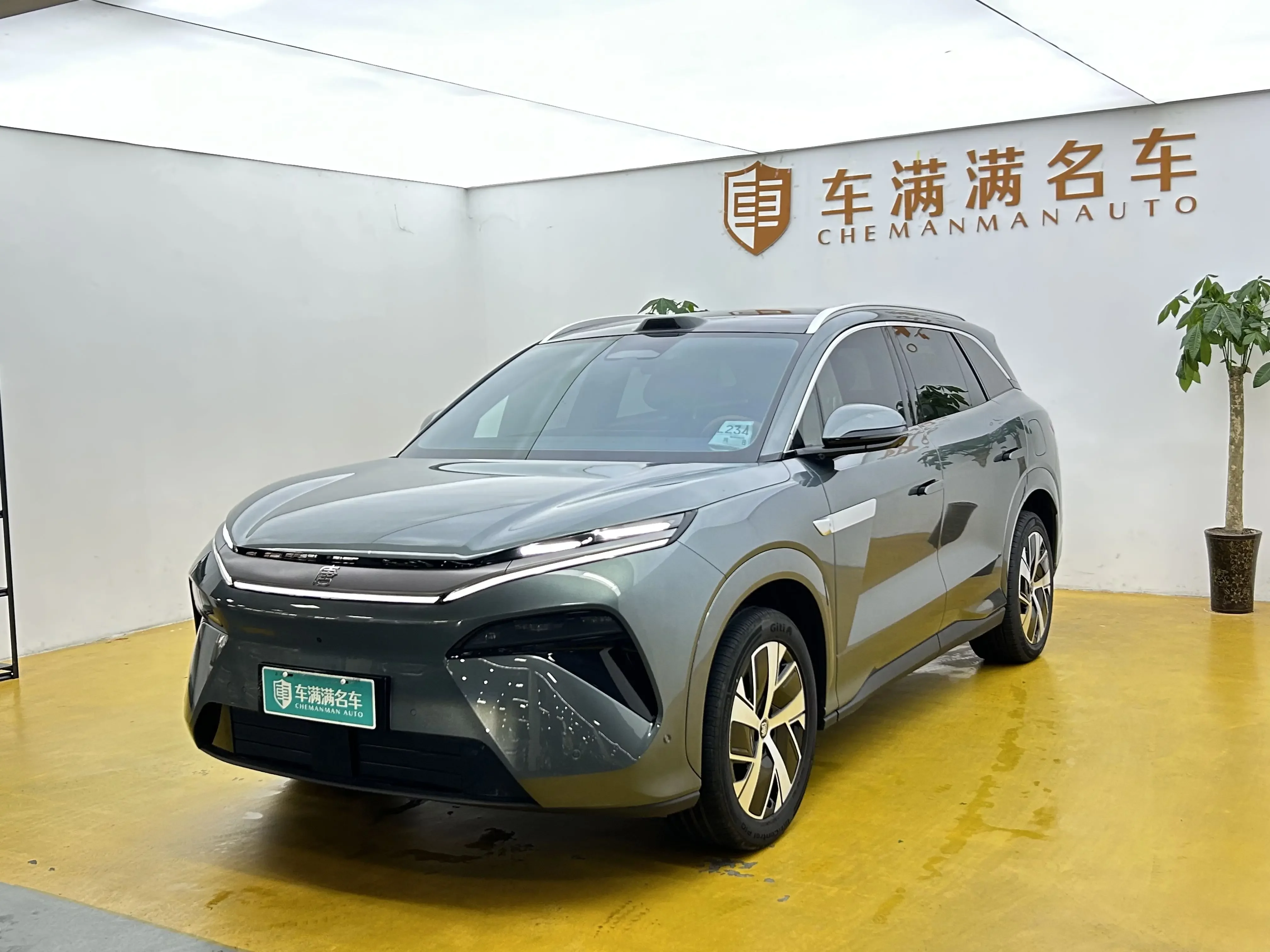 BYD Tang L EV