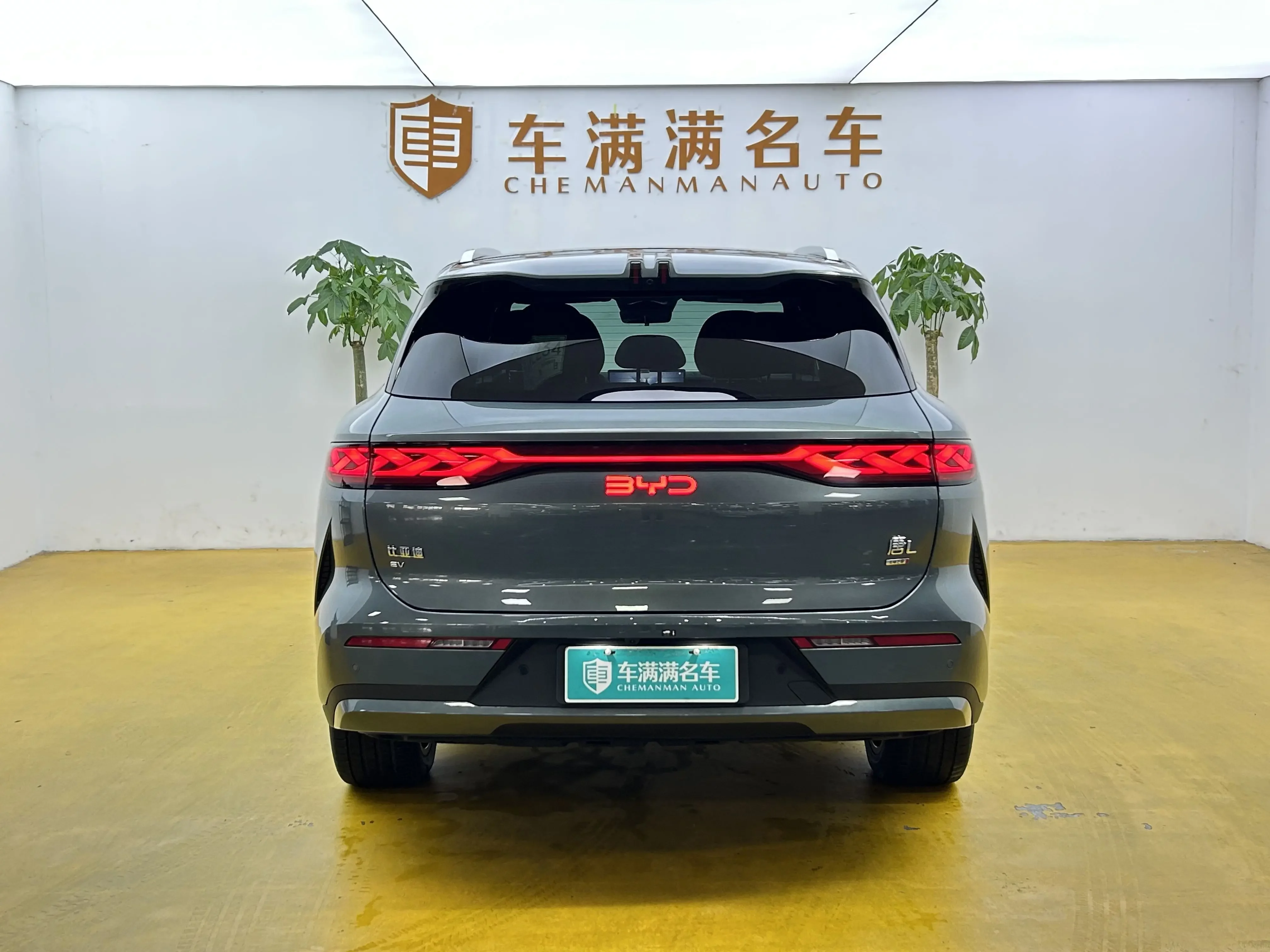BYD Tang L EV