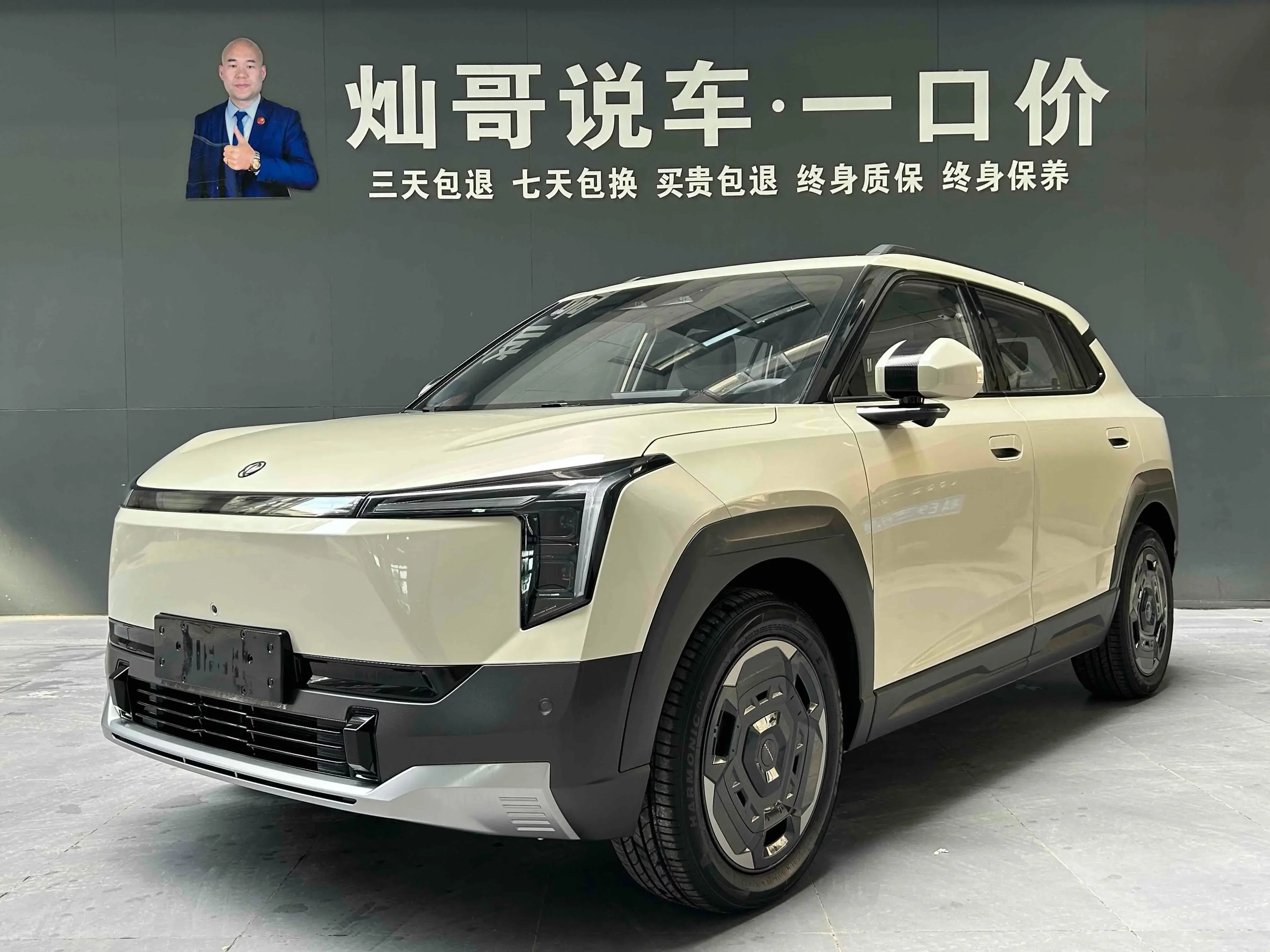 Dongfeng Nano 06