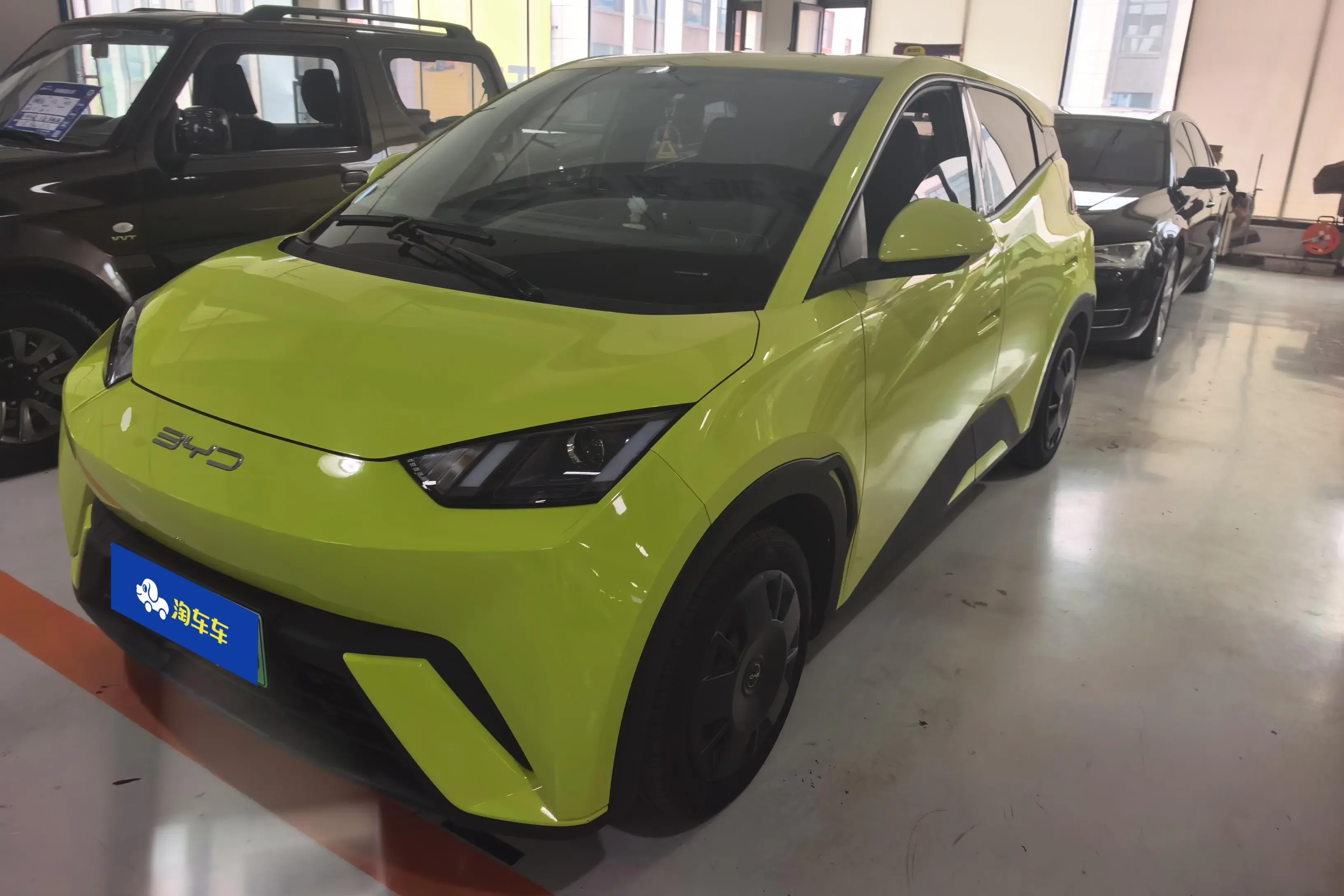 BYD seagull