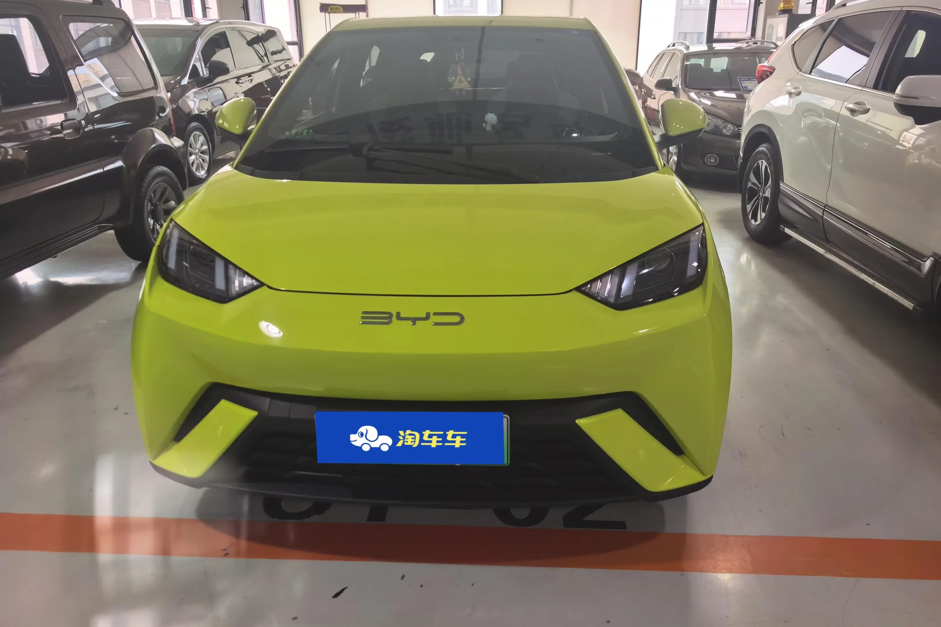 BYD seagull