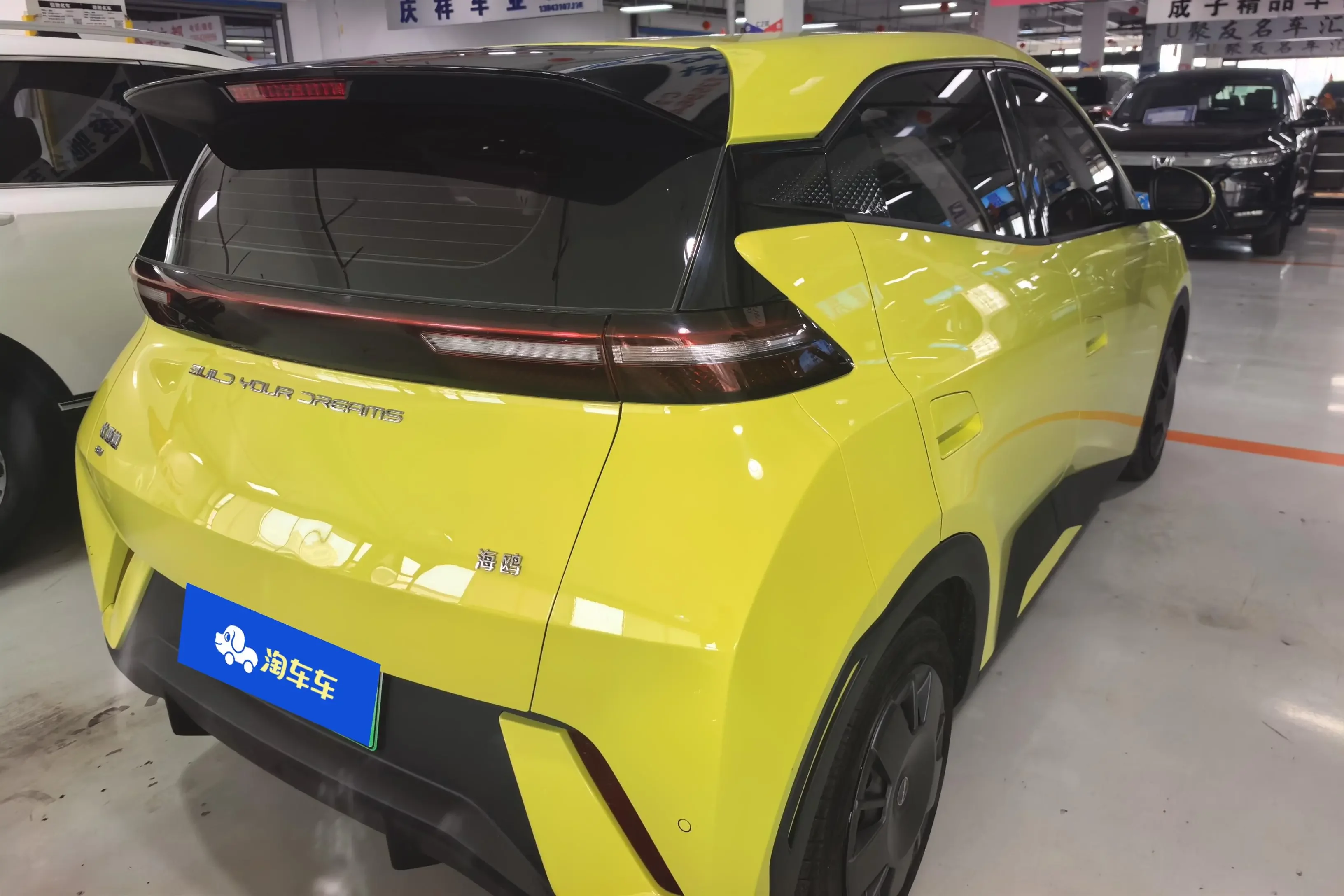 BYD seagull