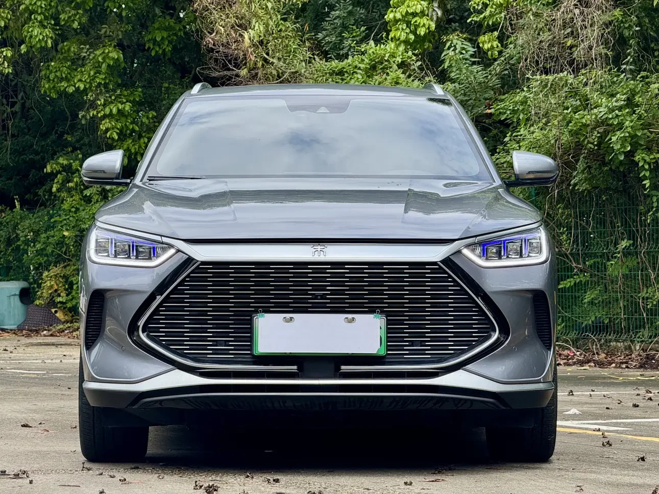 BYD Song PLUS DM
