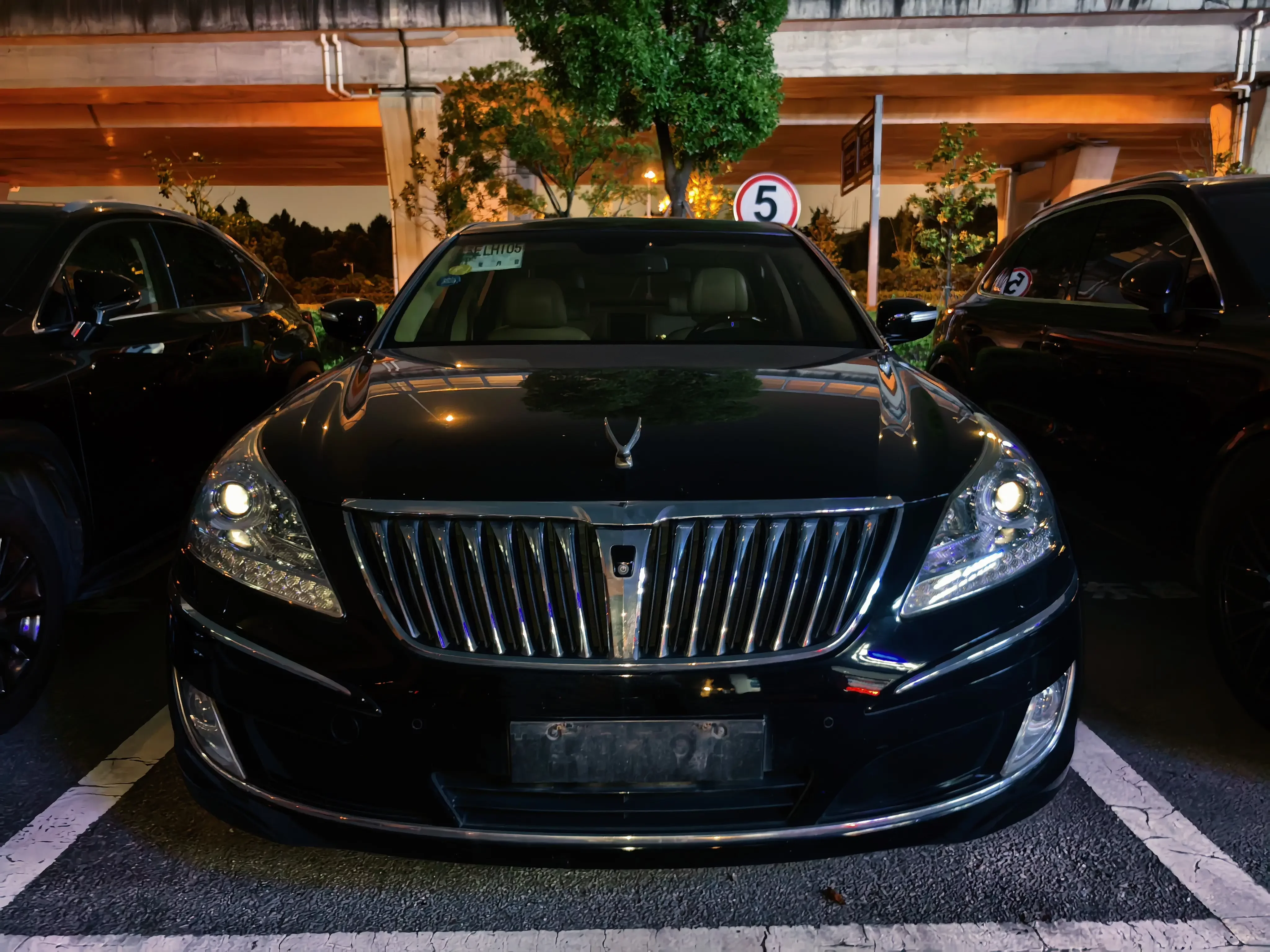 Hyundai Equus