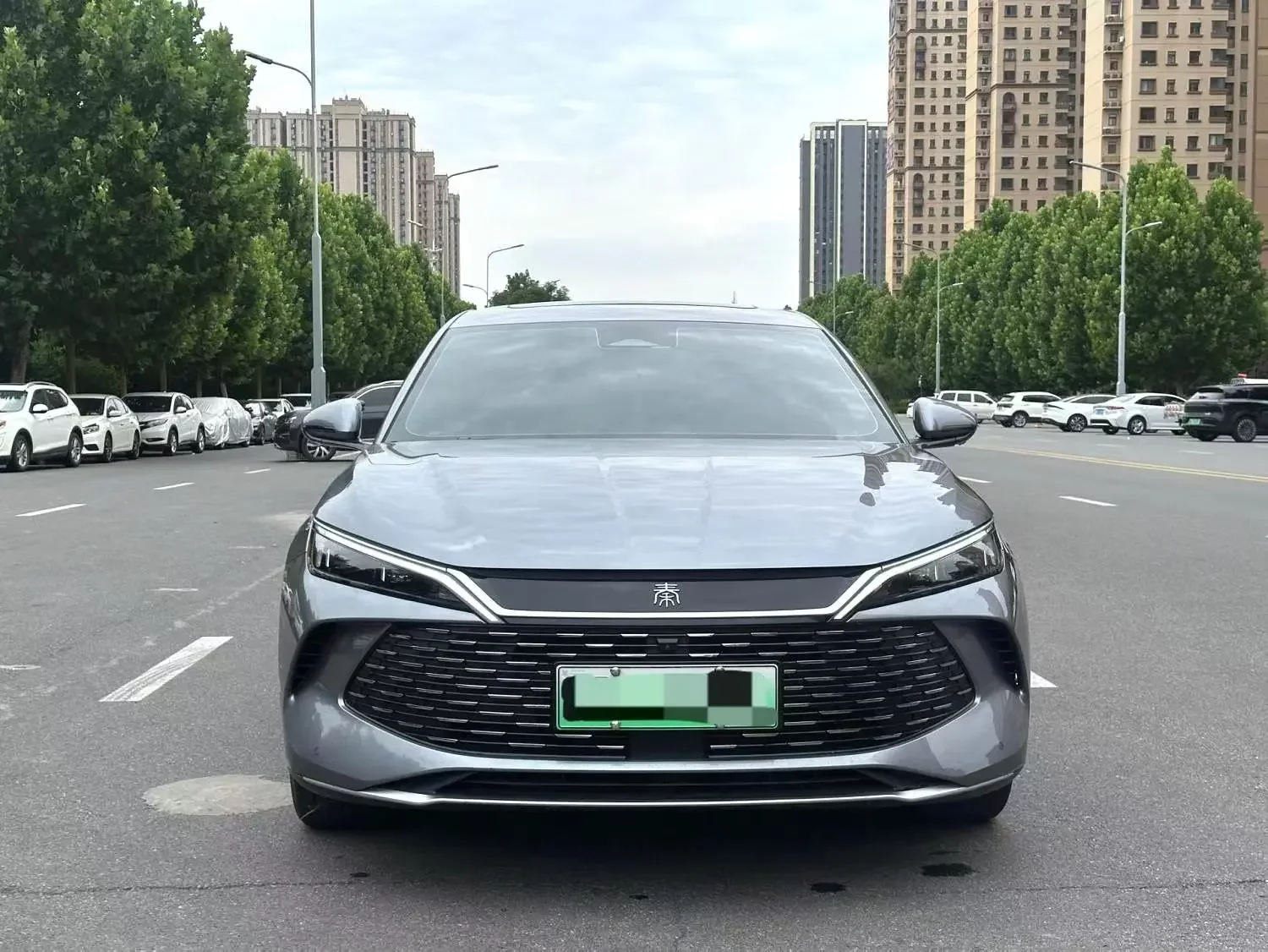 BYD Qin L DM