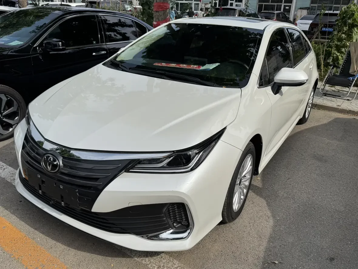 Toyota Asiatic lion