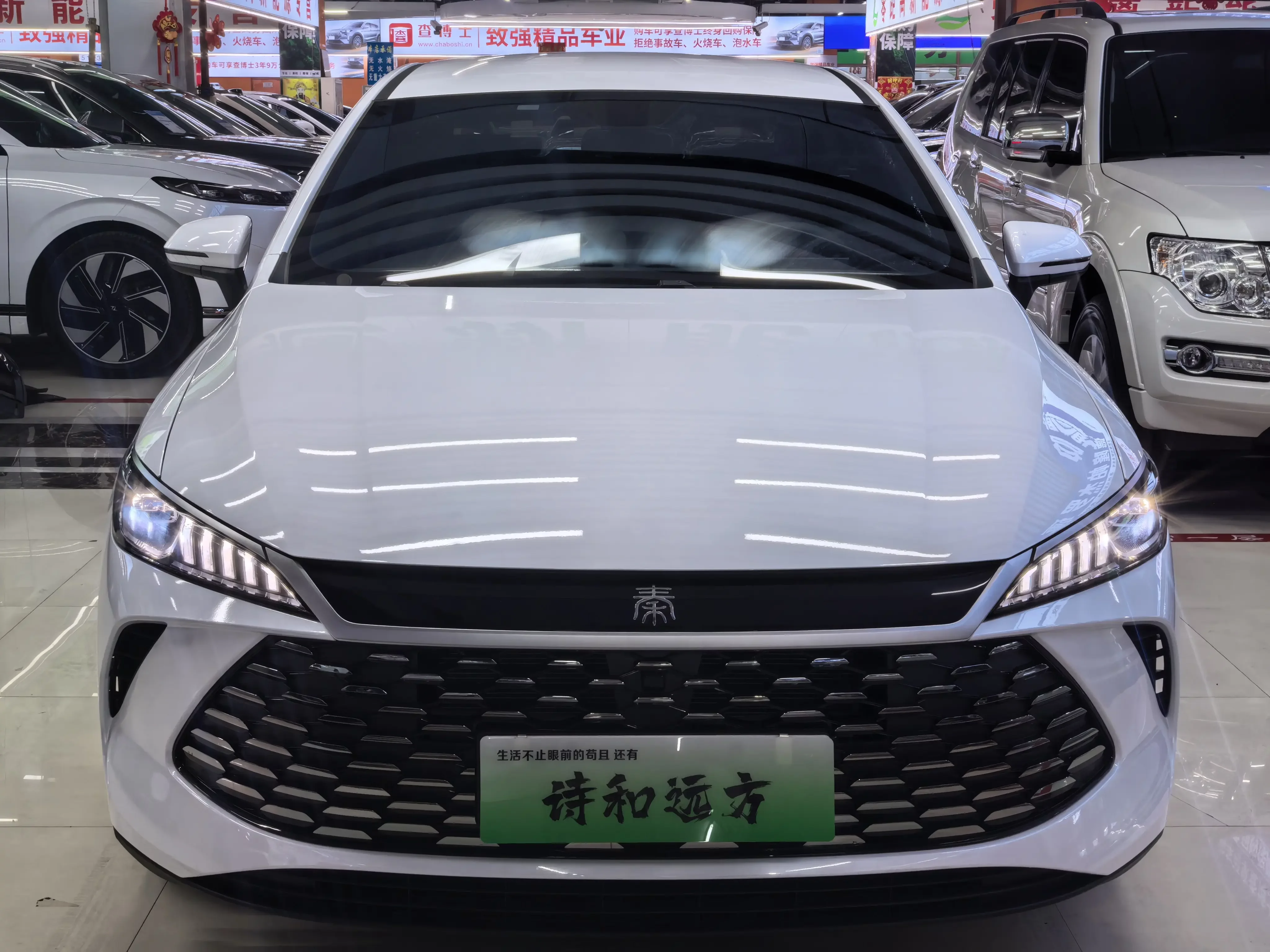 BYD Qin PLUS DM