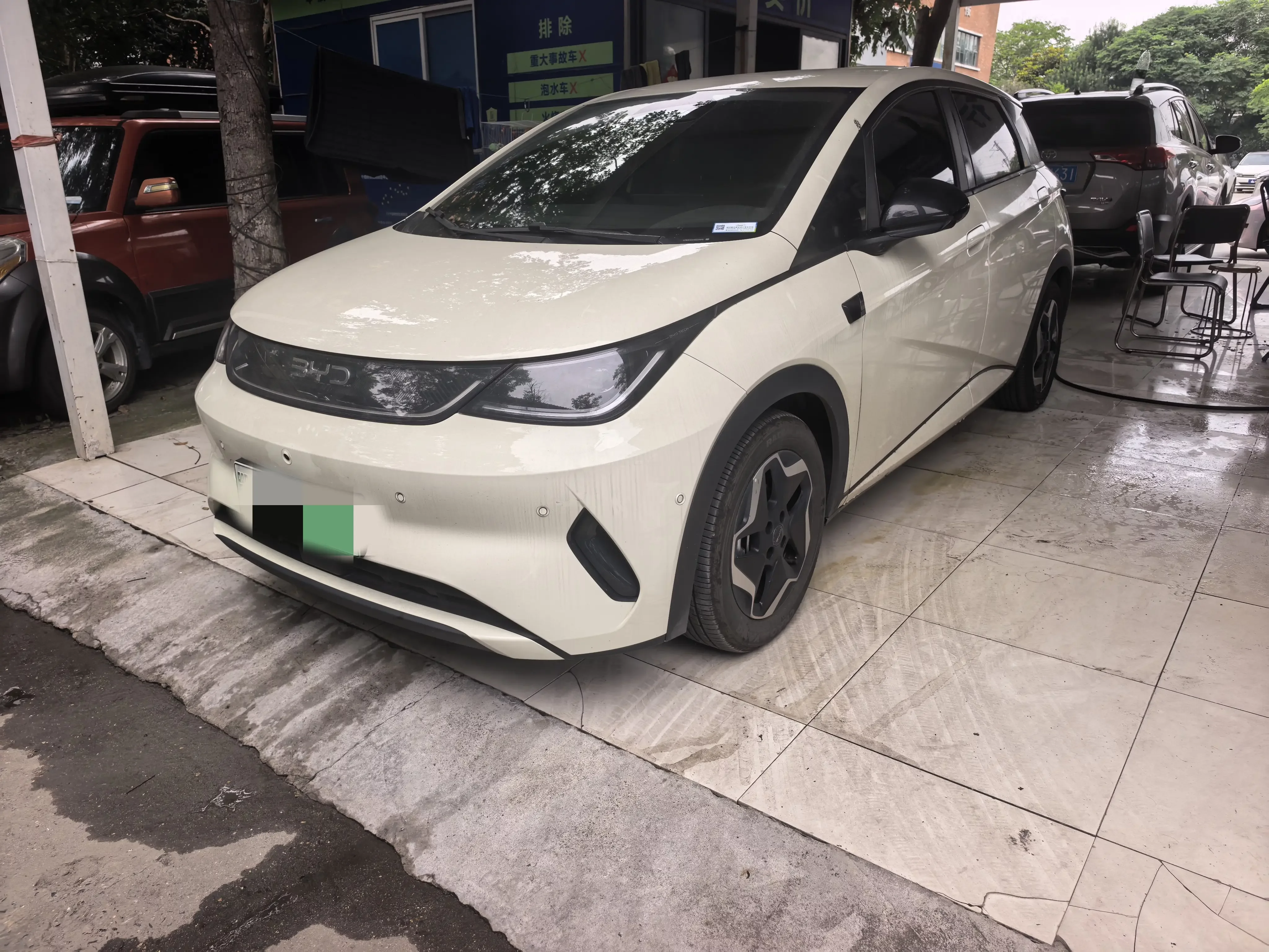 BYD dolphin