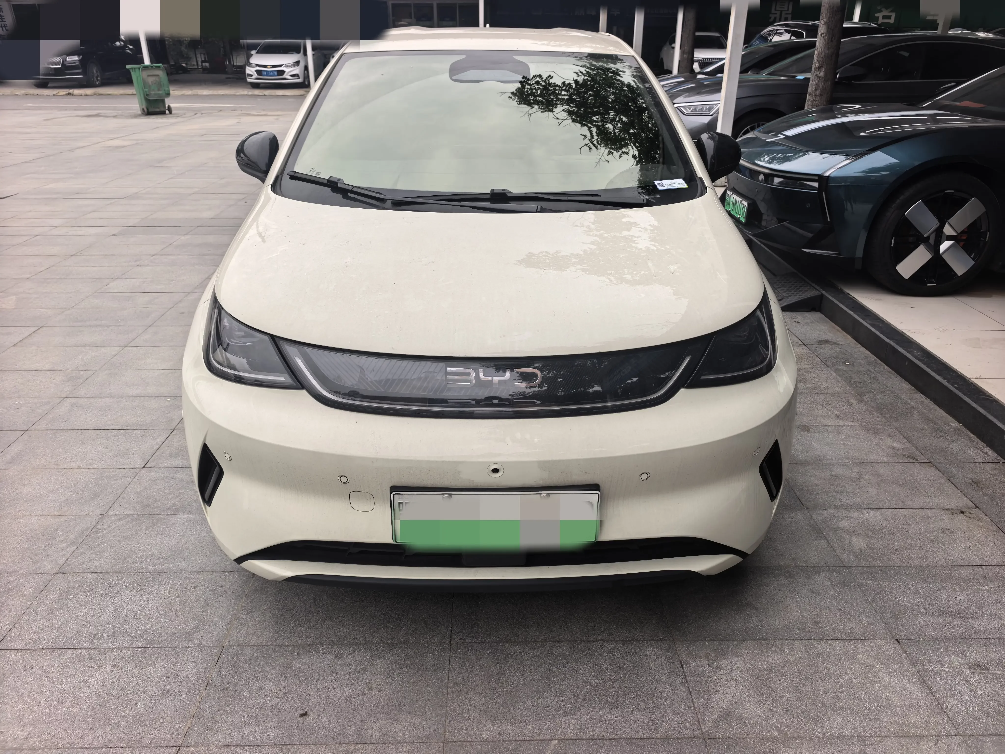 BYD dolphin