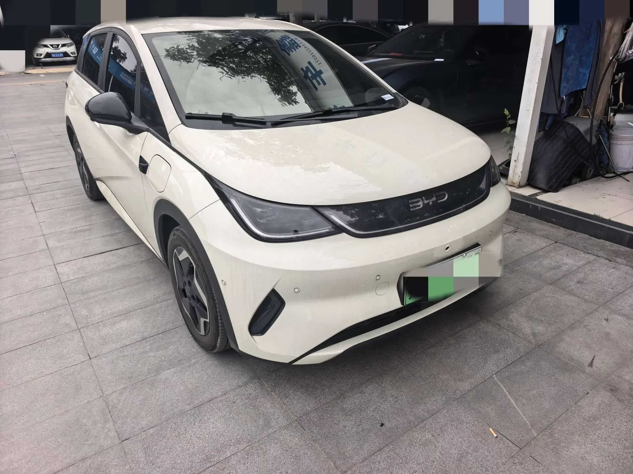 BYD dolphin