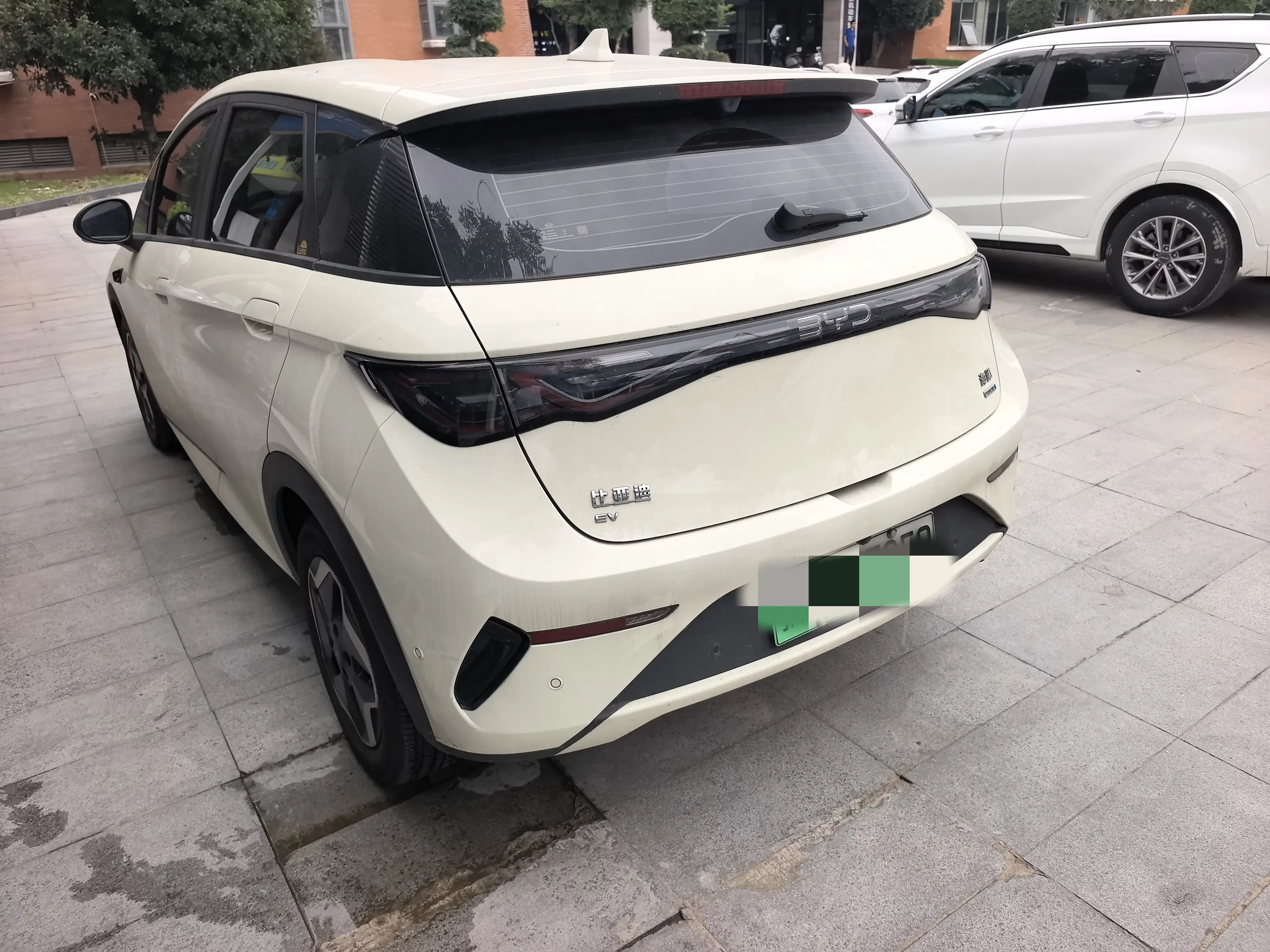 BYD dolphin