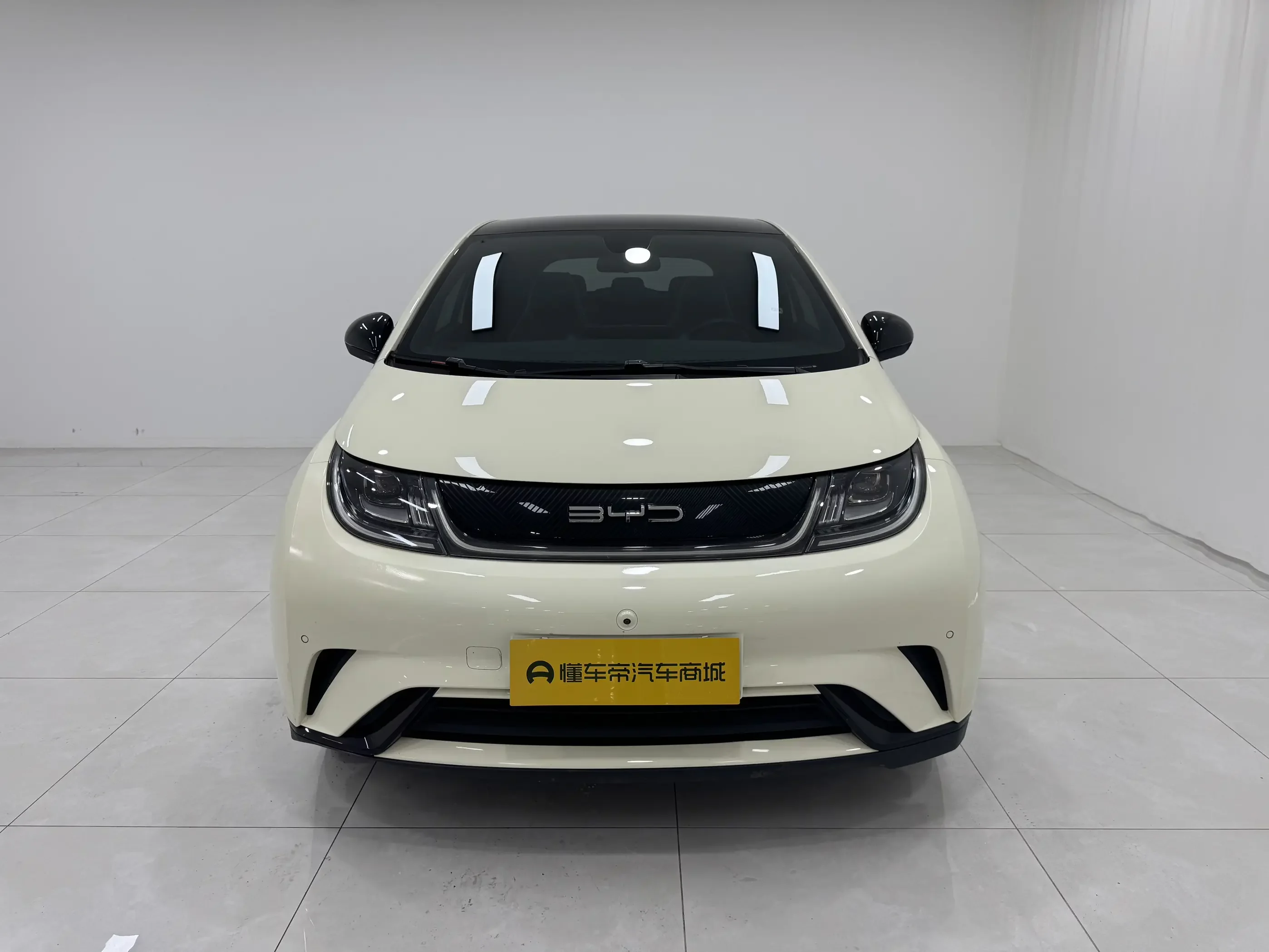 BYD dolphin