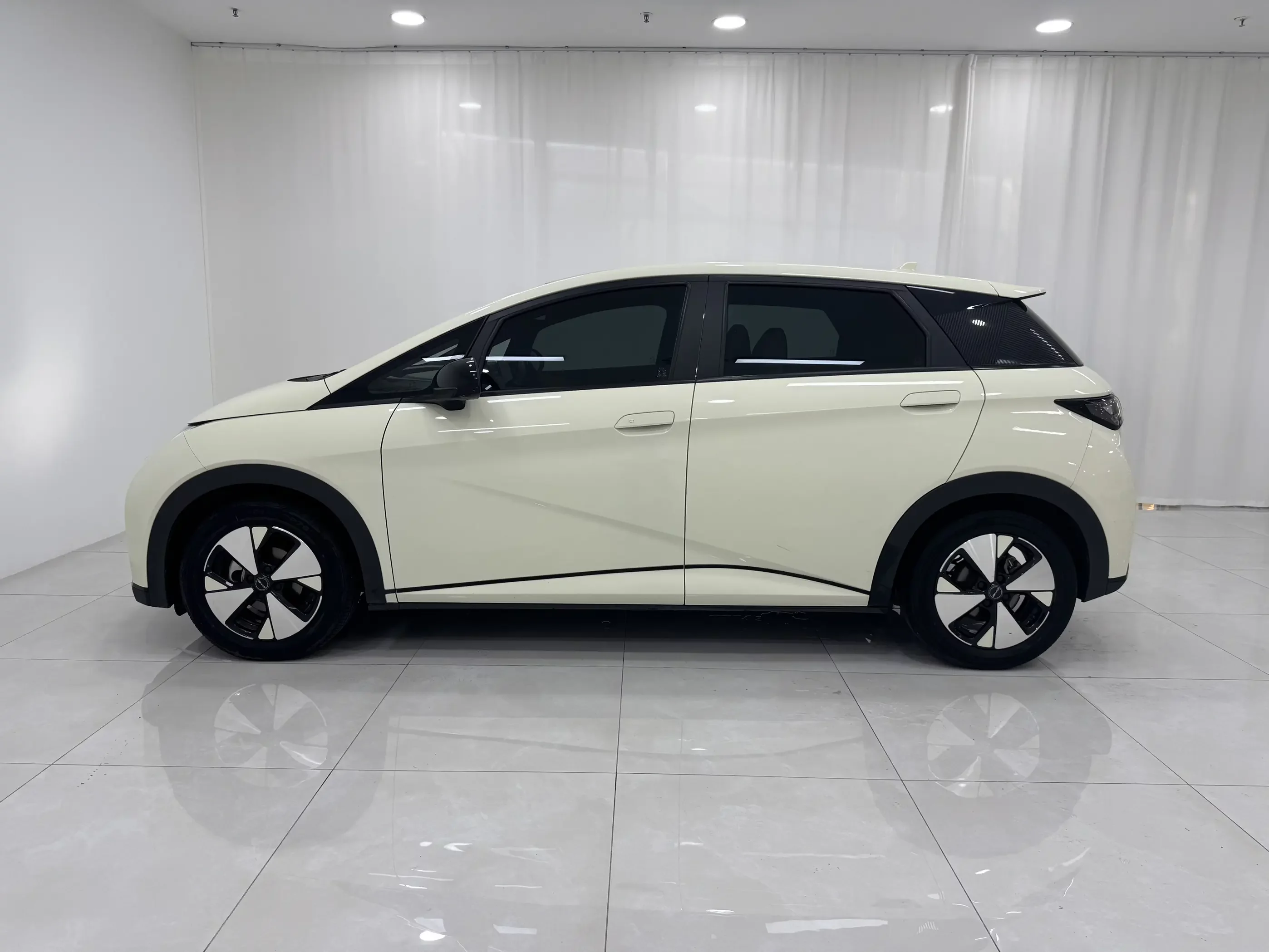 BYD dolphin