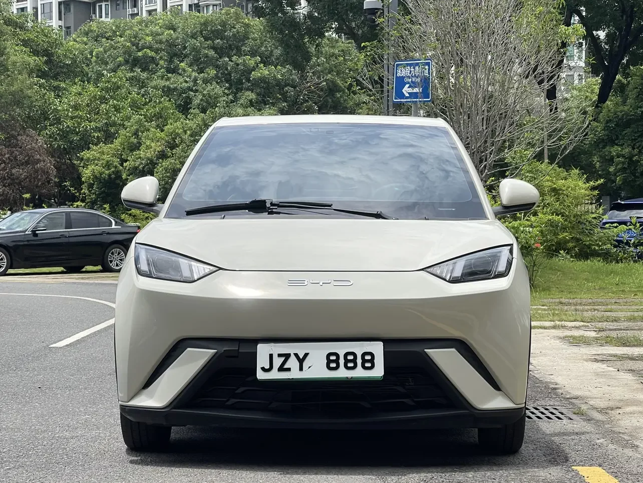 BYD seagull