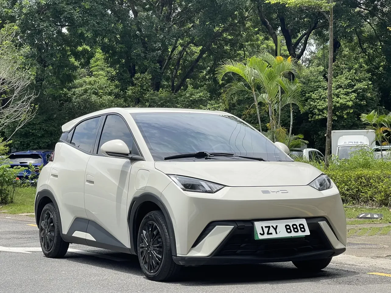 BYD seagull