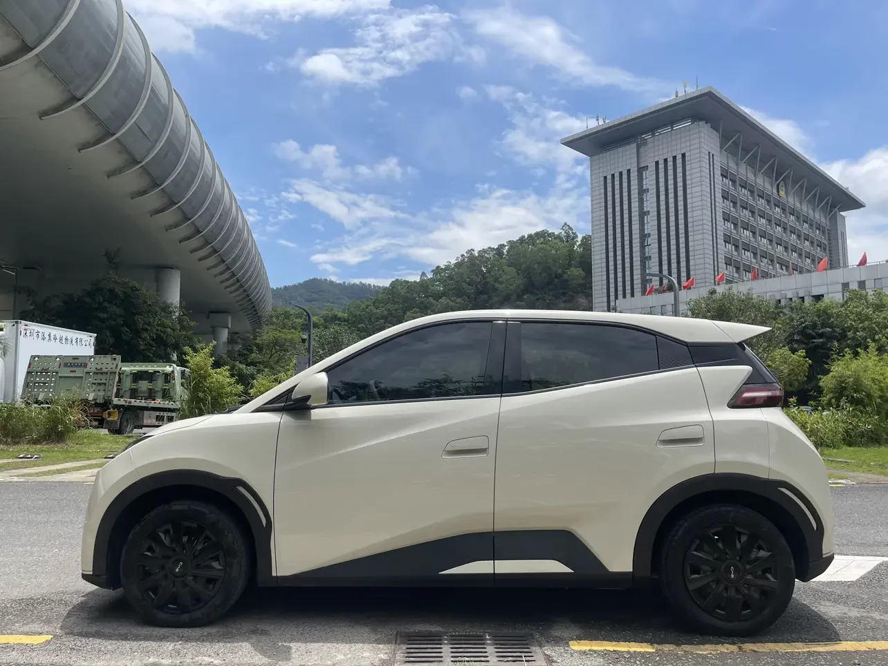 BYD seagull