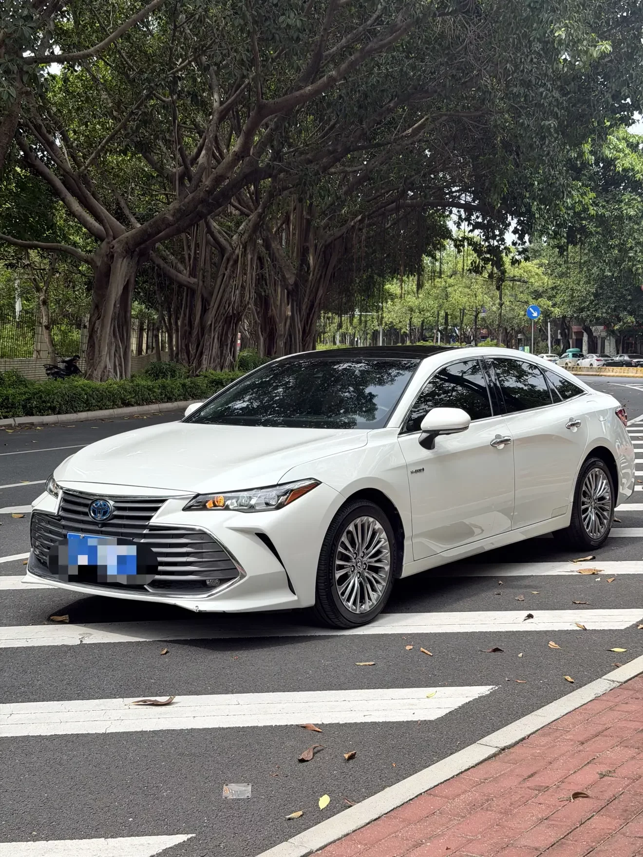 Toyota Avalon