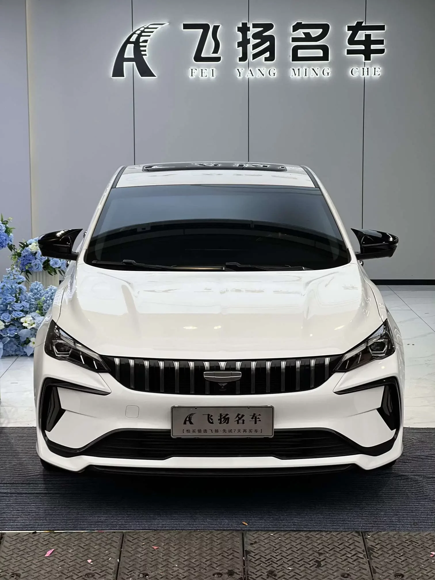Geely Binrui