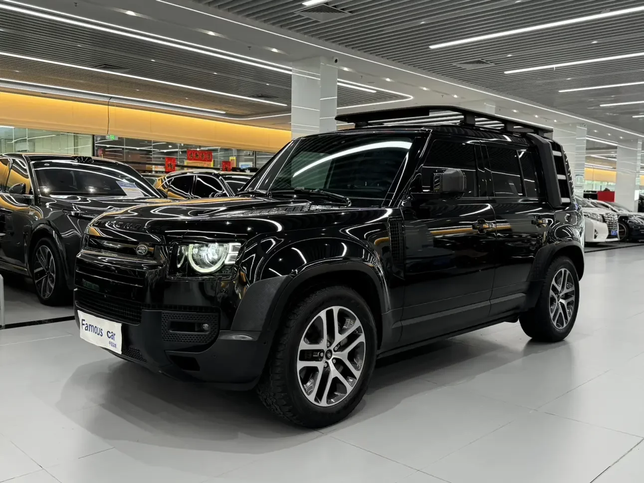 Land Rover guard
