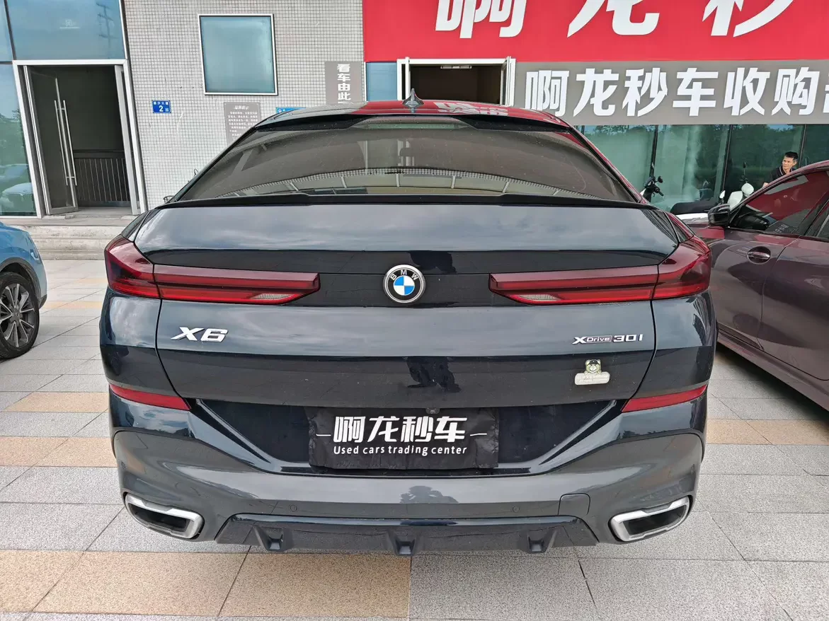BMW X6