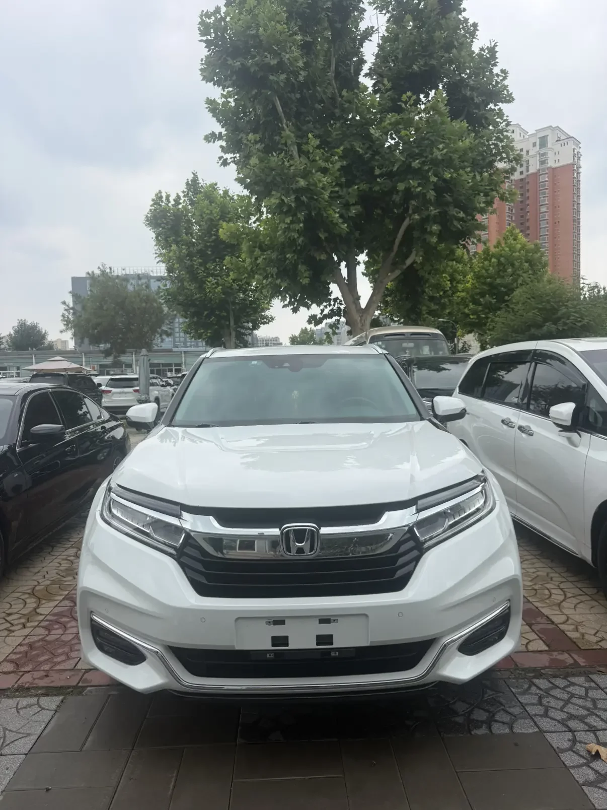 Honda Avancier