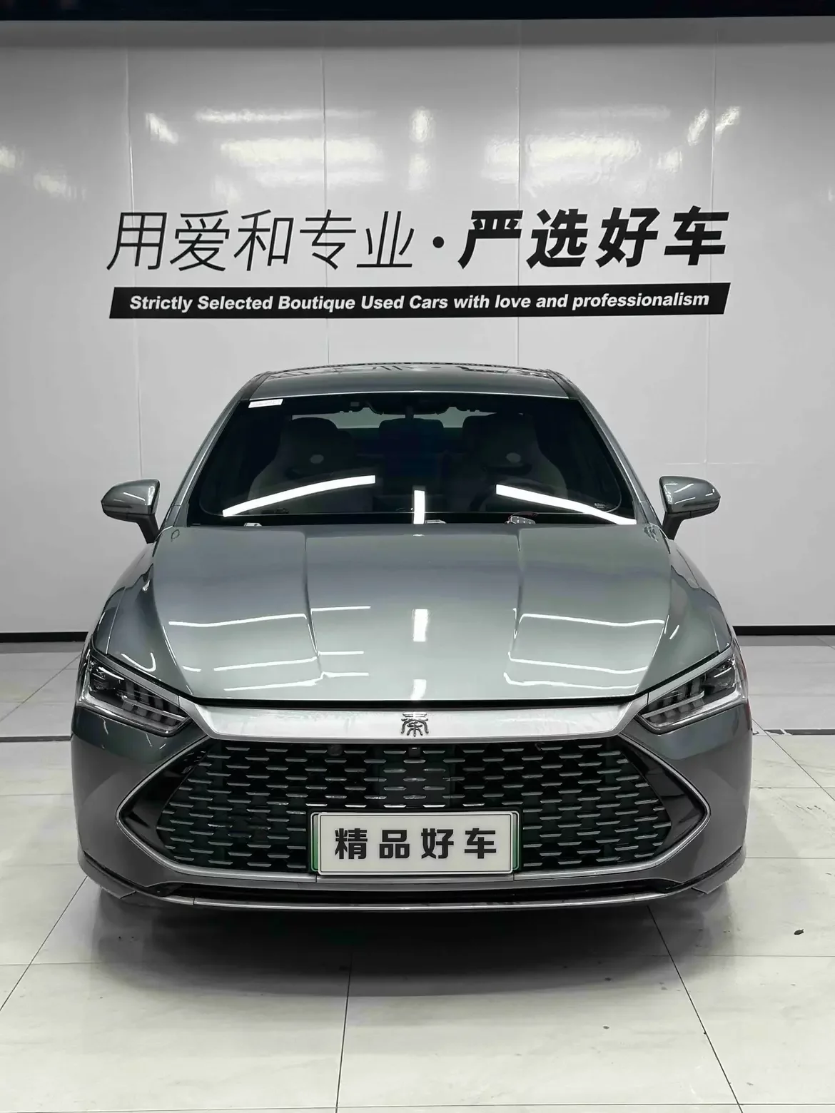 BYD Qin PLUS DM