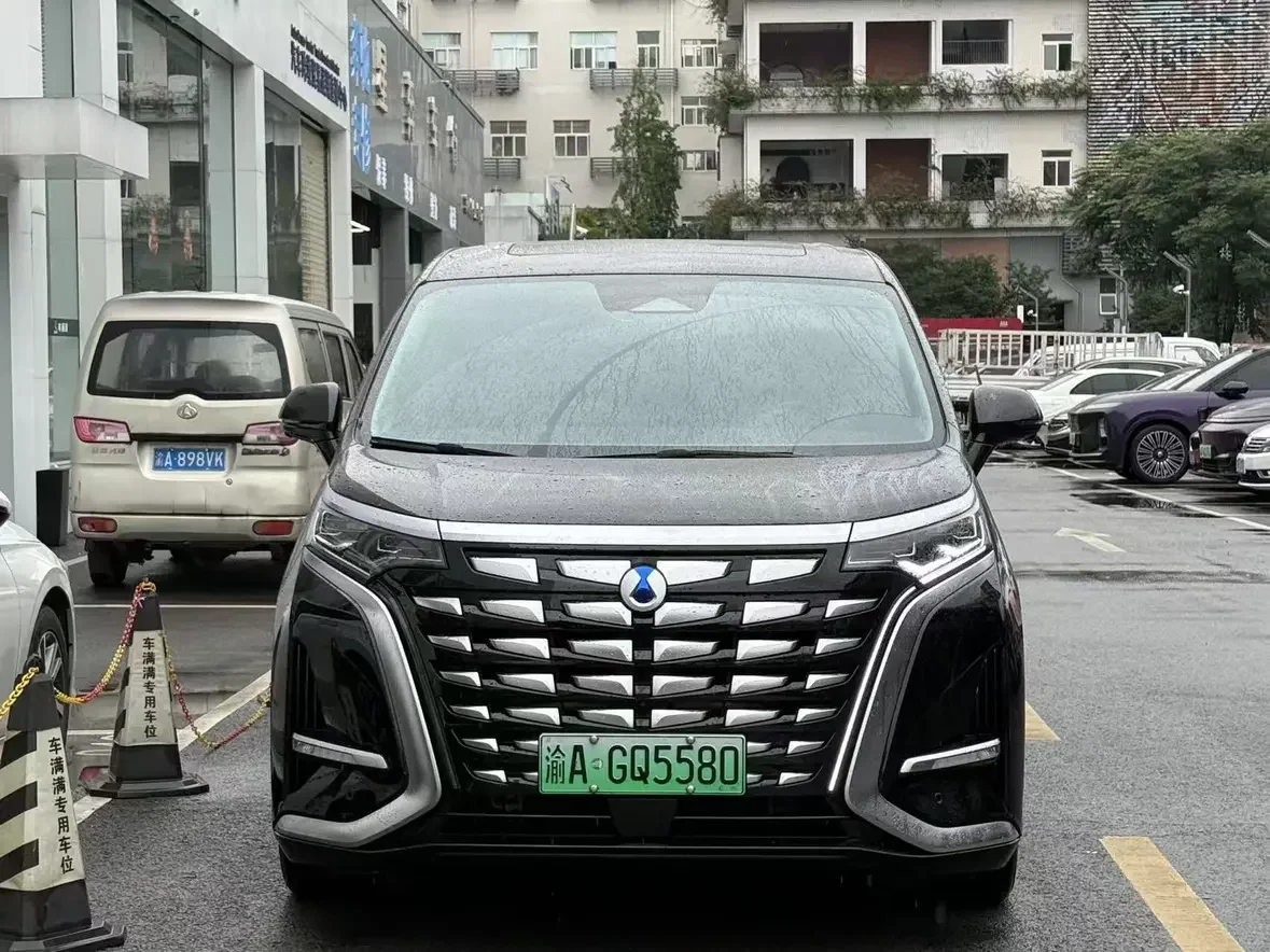 Denza D9 DM
