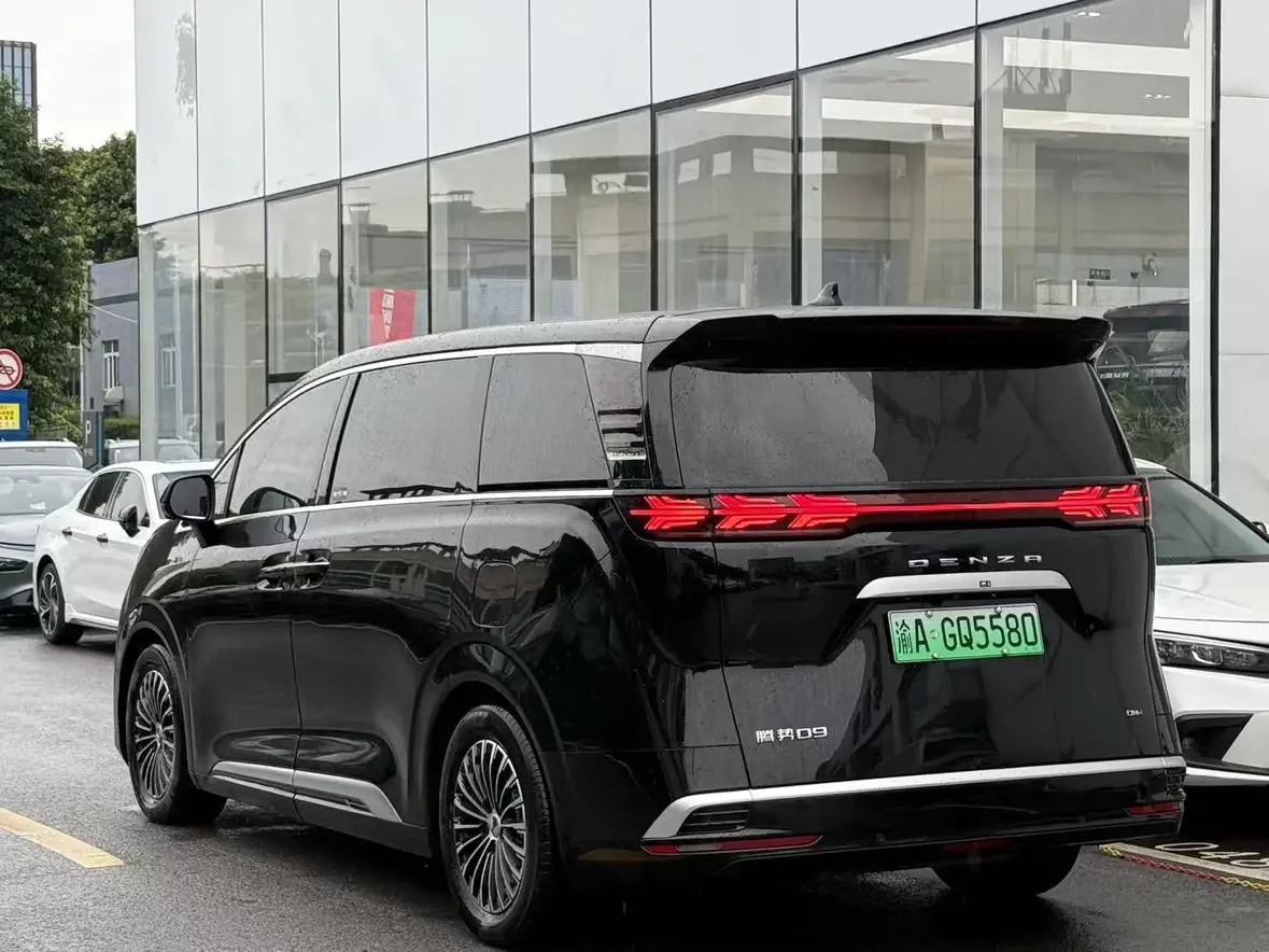 Denza D9 DM