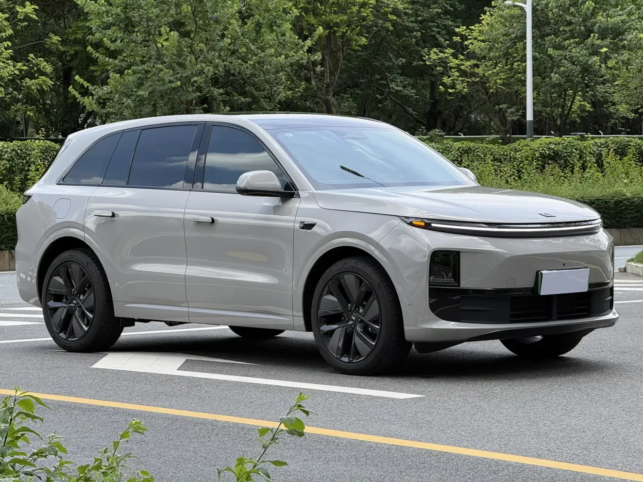 Lixiang L6
