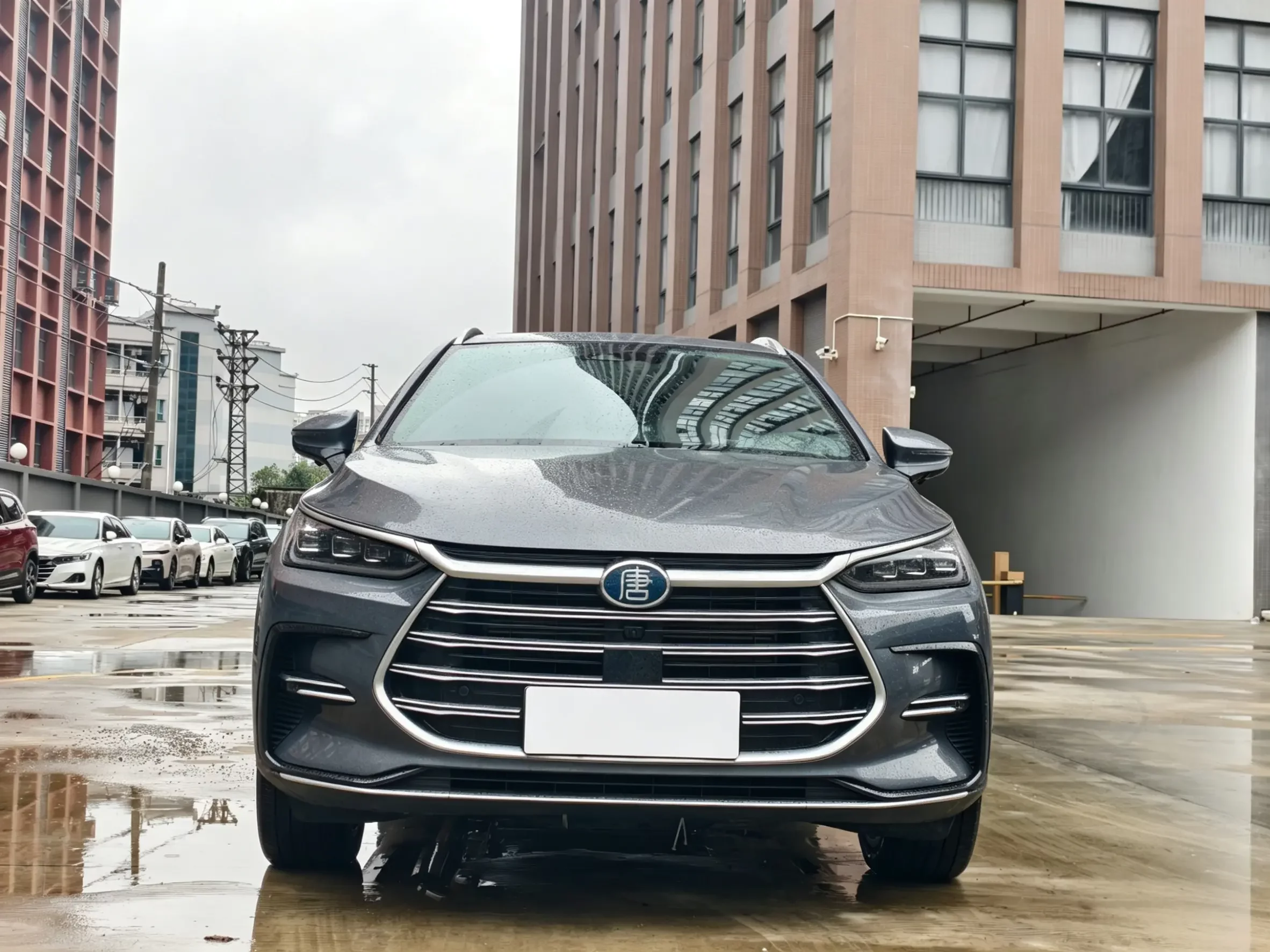 BYD Tang DM