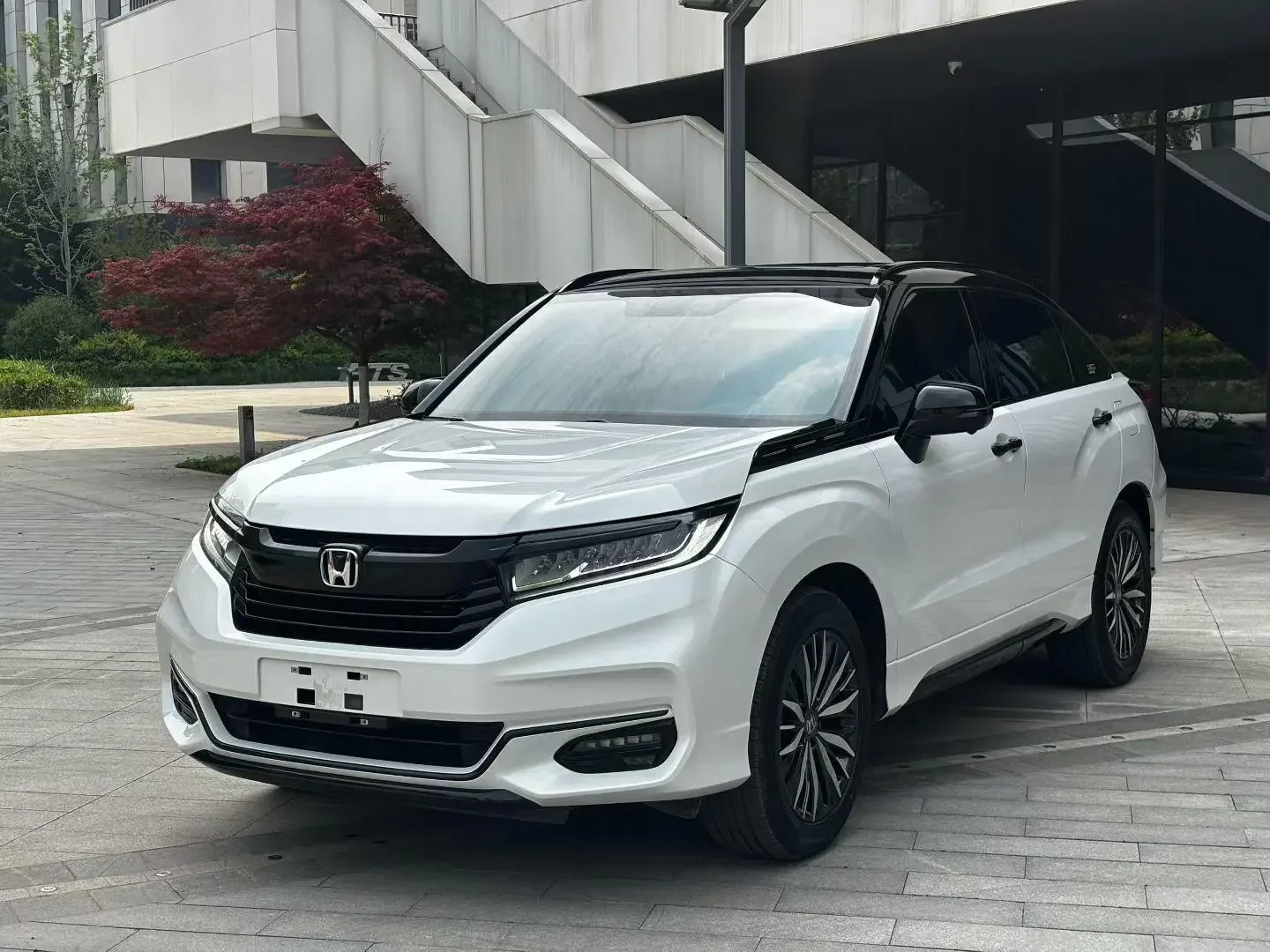 Honda Avancier