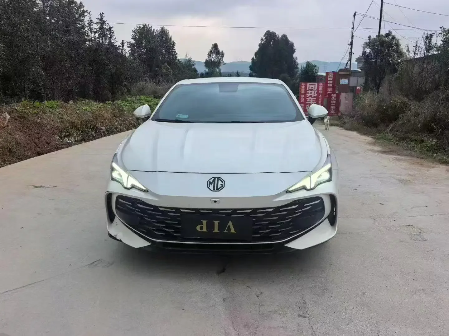 MG 7