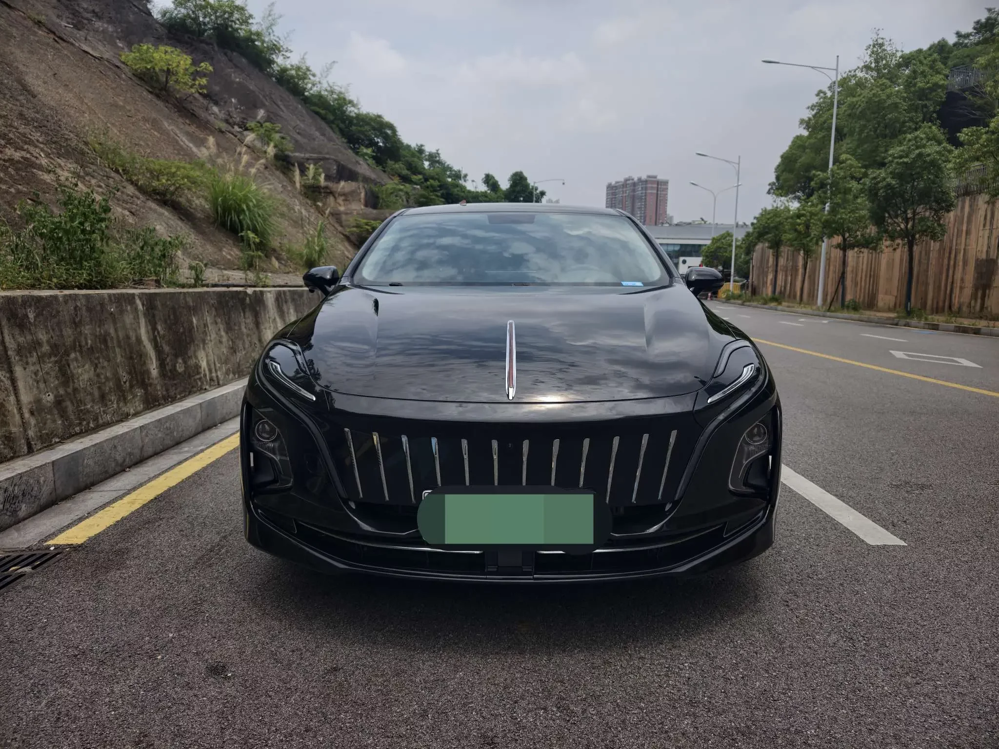 Hongqi E-QM5