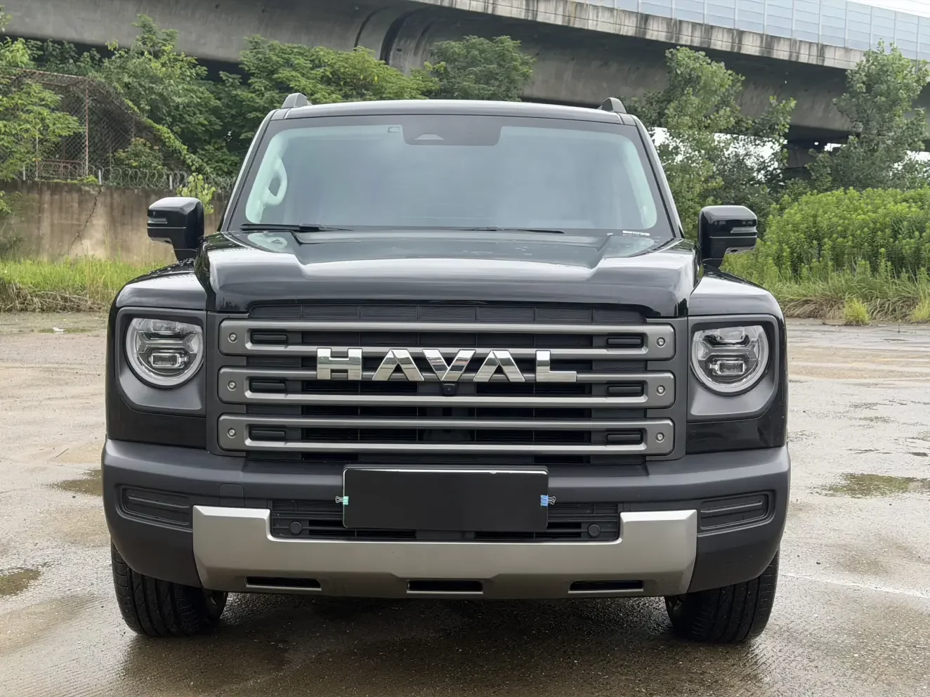 Haval Raptors PHEV  из Китая
