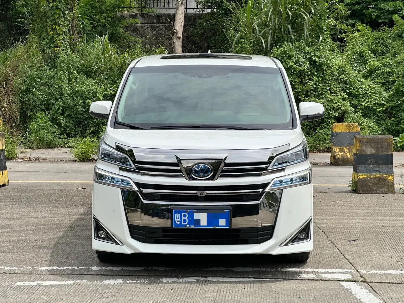 Toyota Crown Wellfire