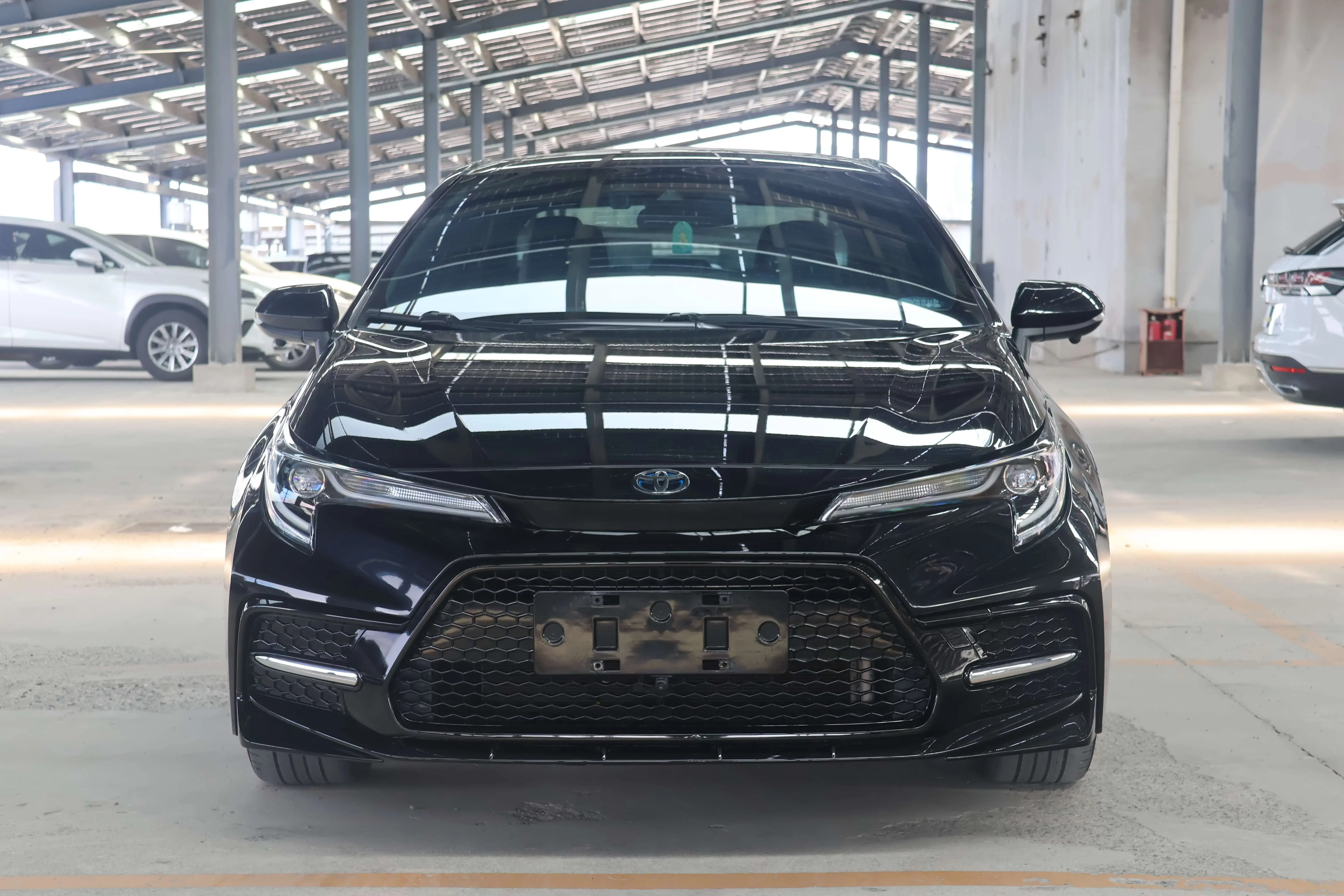 Toyota Levin
